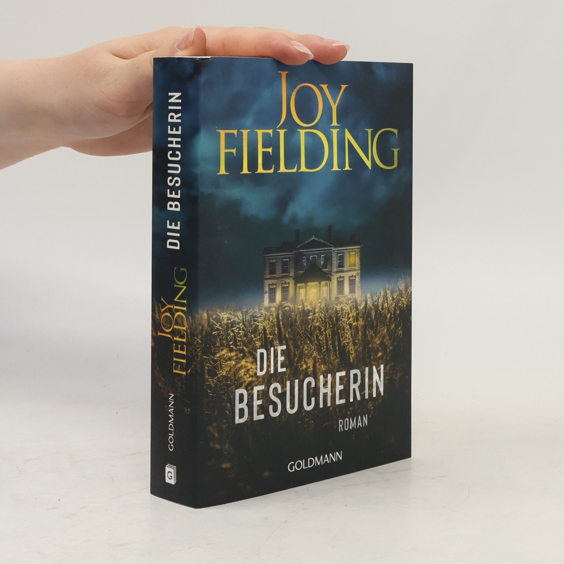 Joy Fielding Die Besucherin