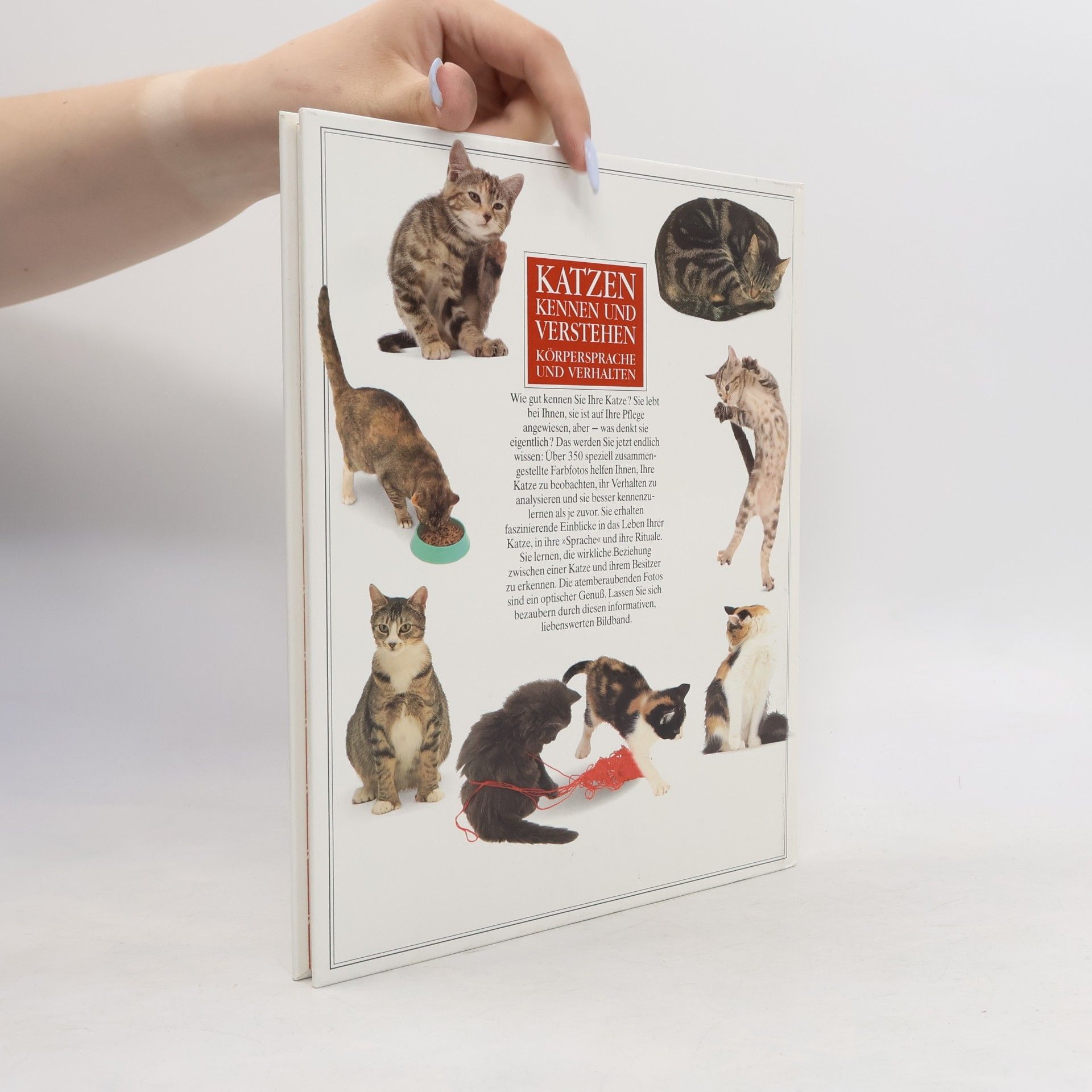 Bruce Fogle Katzen kennen und verstehen