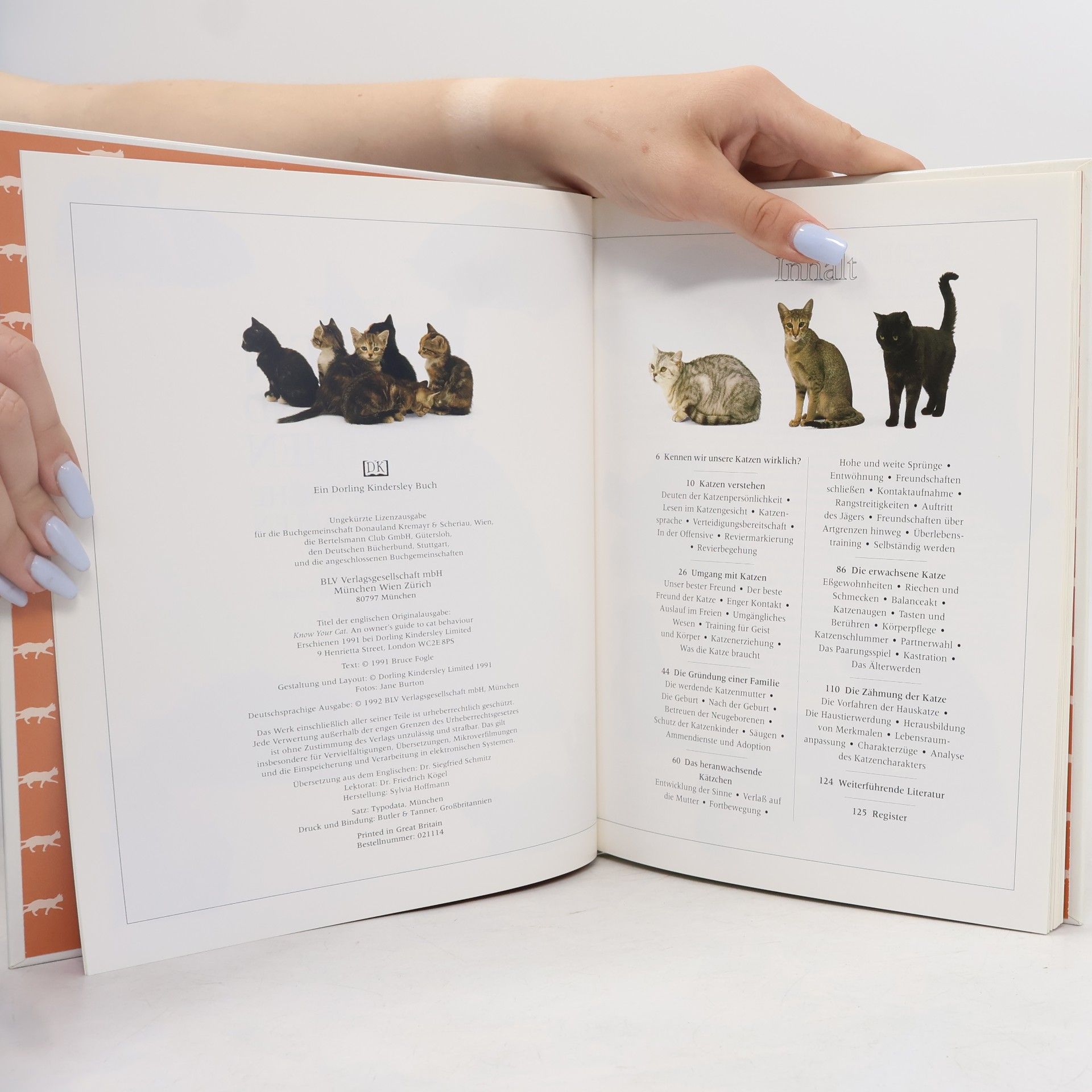 Bruce Fogle Katzen kennen und verstehen