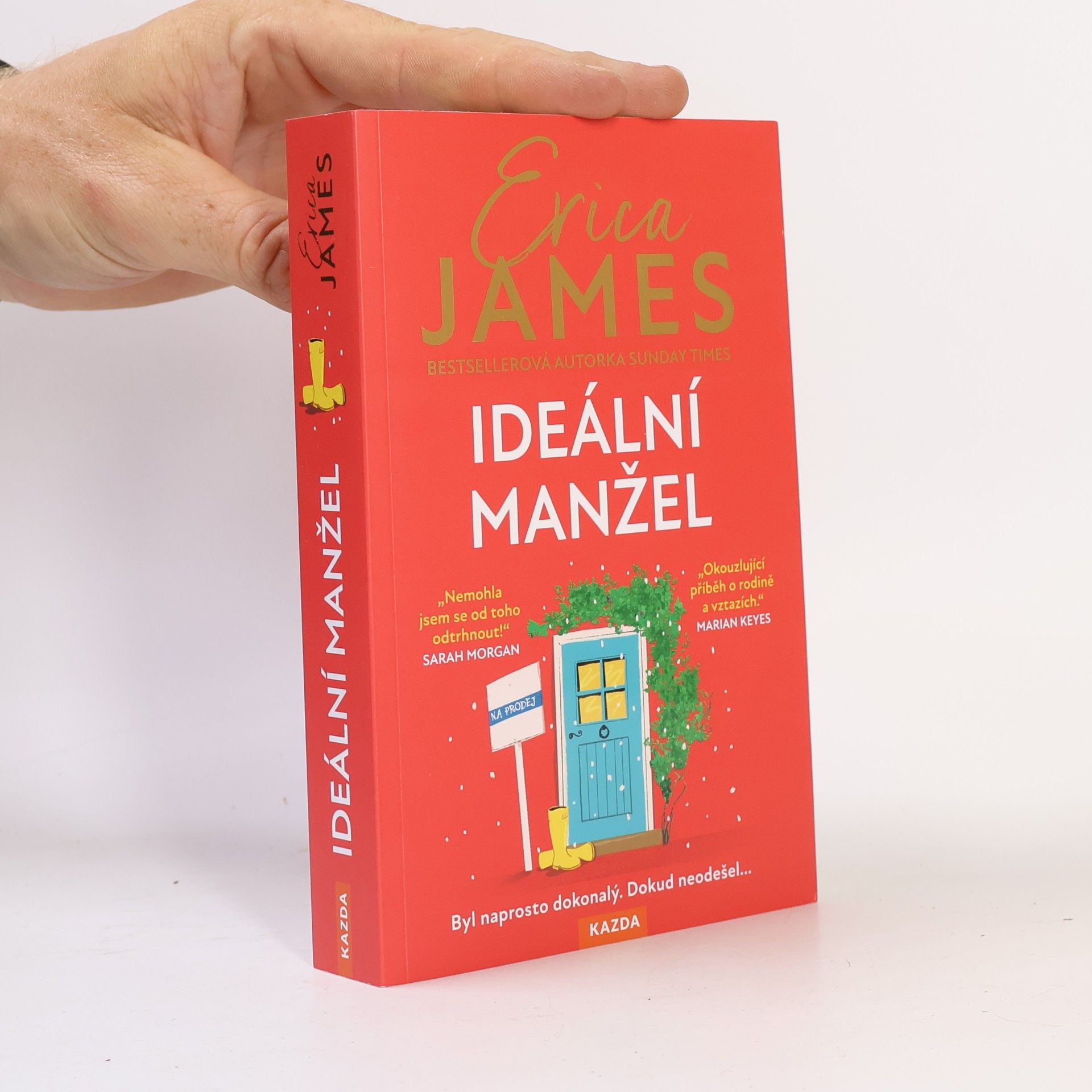 Erica James Ideální manžel