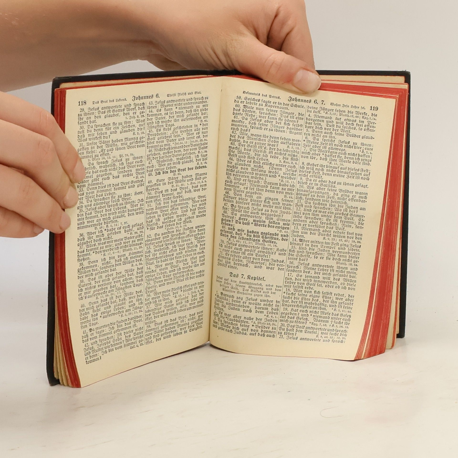 Martin Luther Neues Testament und Psalmen