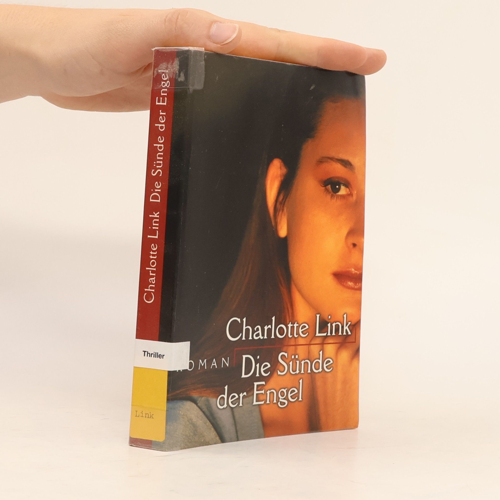 Charlotte Link Die Sünde der Engel