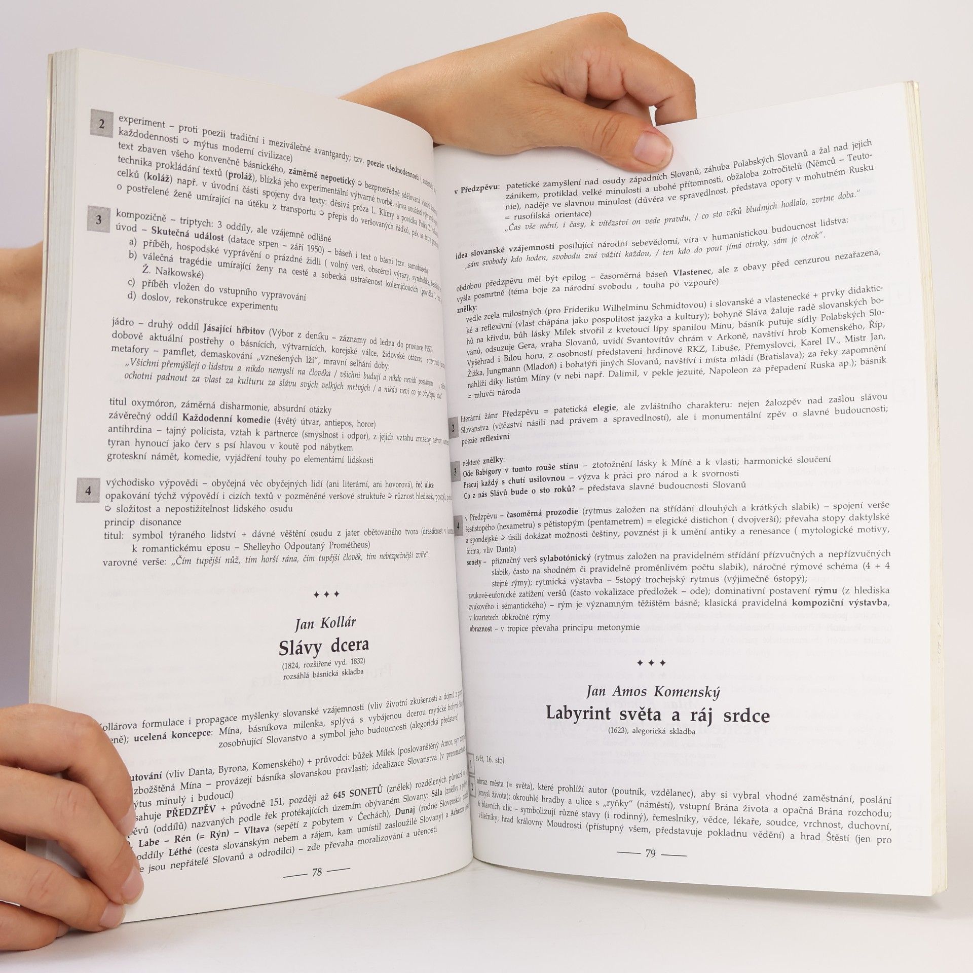 Marie Sochrová Čtenářský deník k Literatuře v kostce