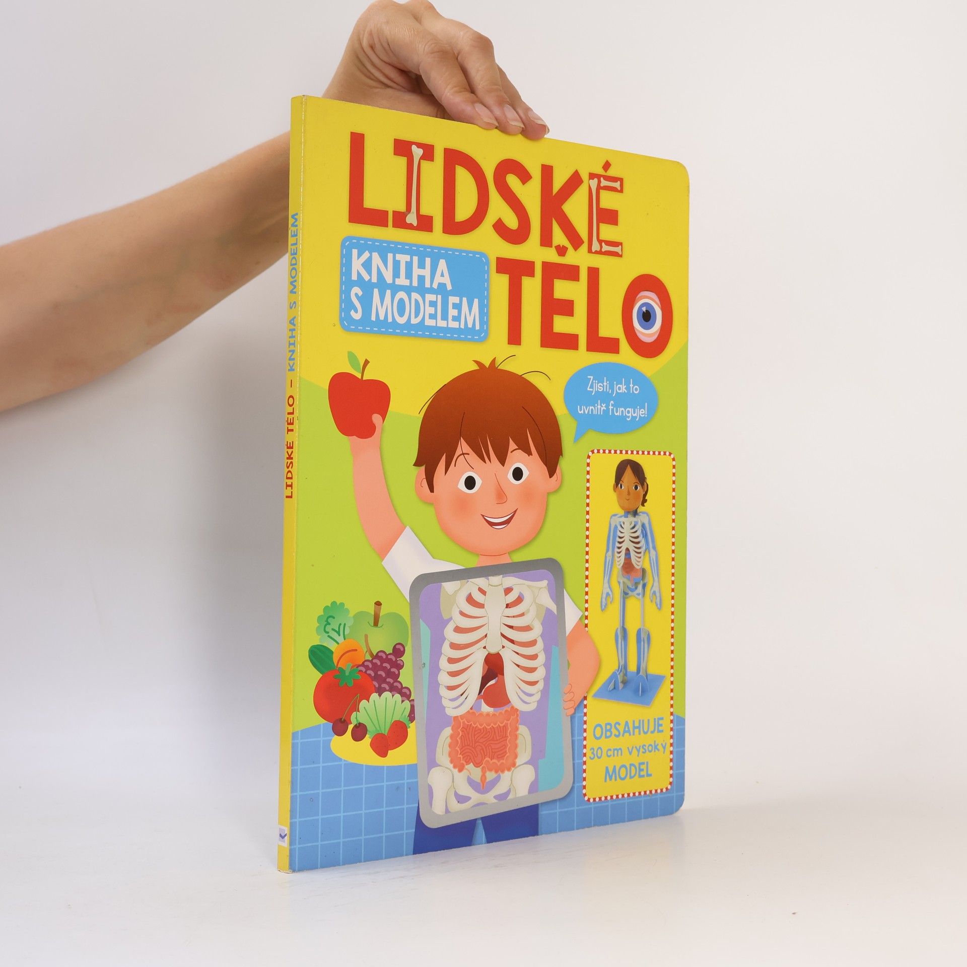 Lidské tělo
