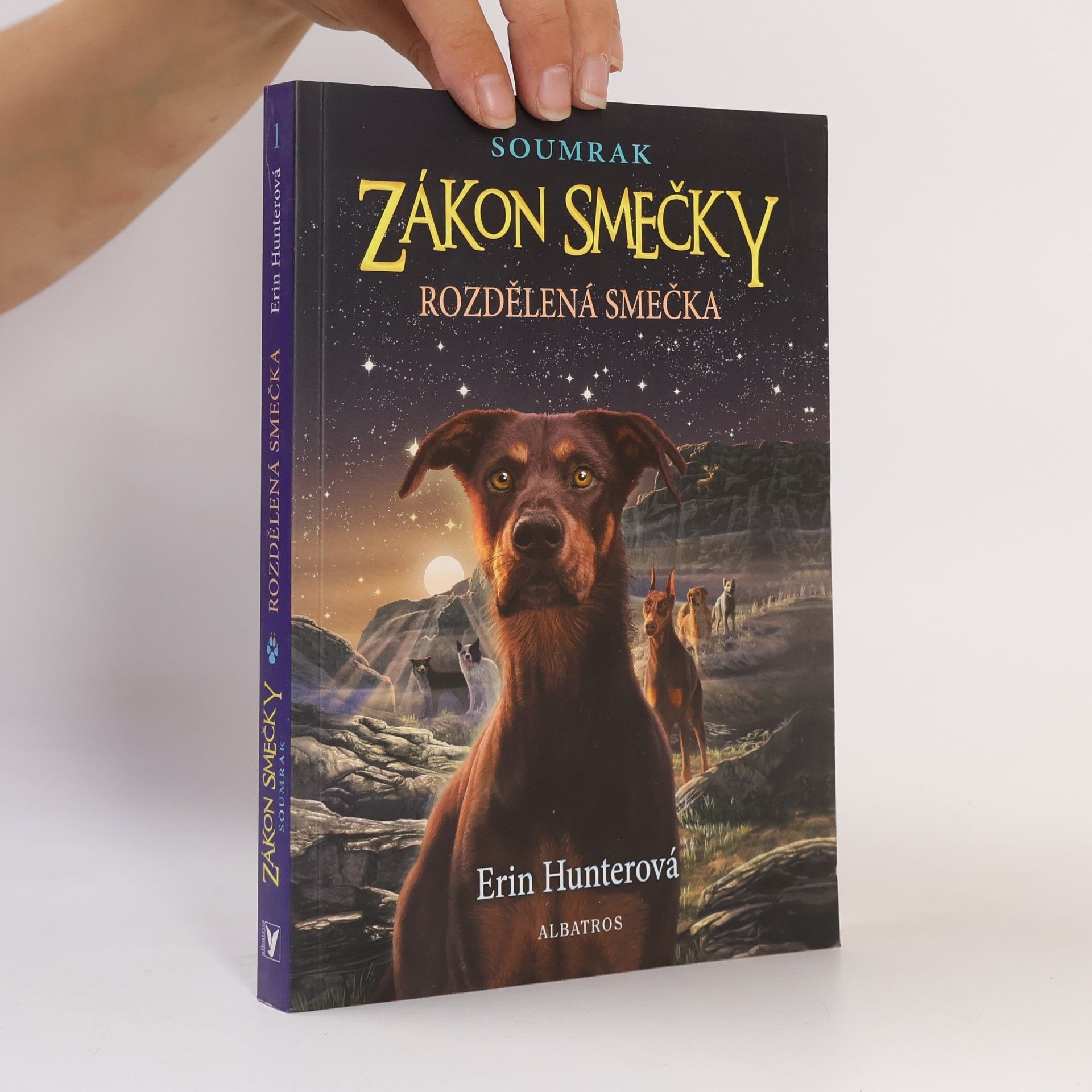 Erin Hunter Rozdělená smečka