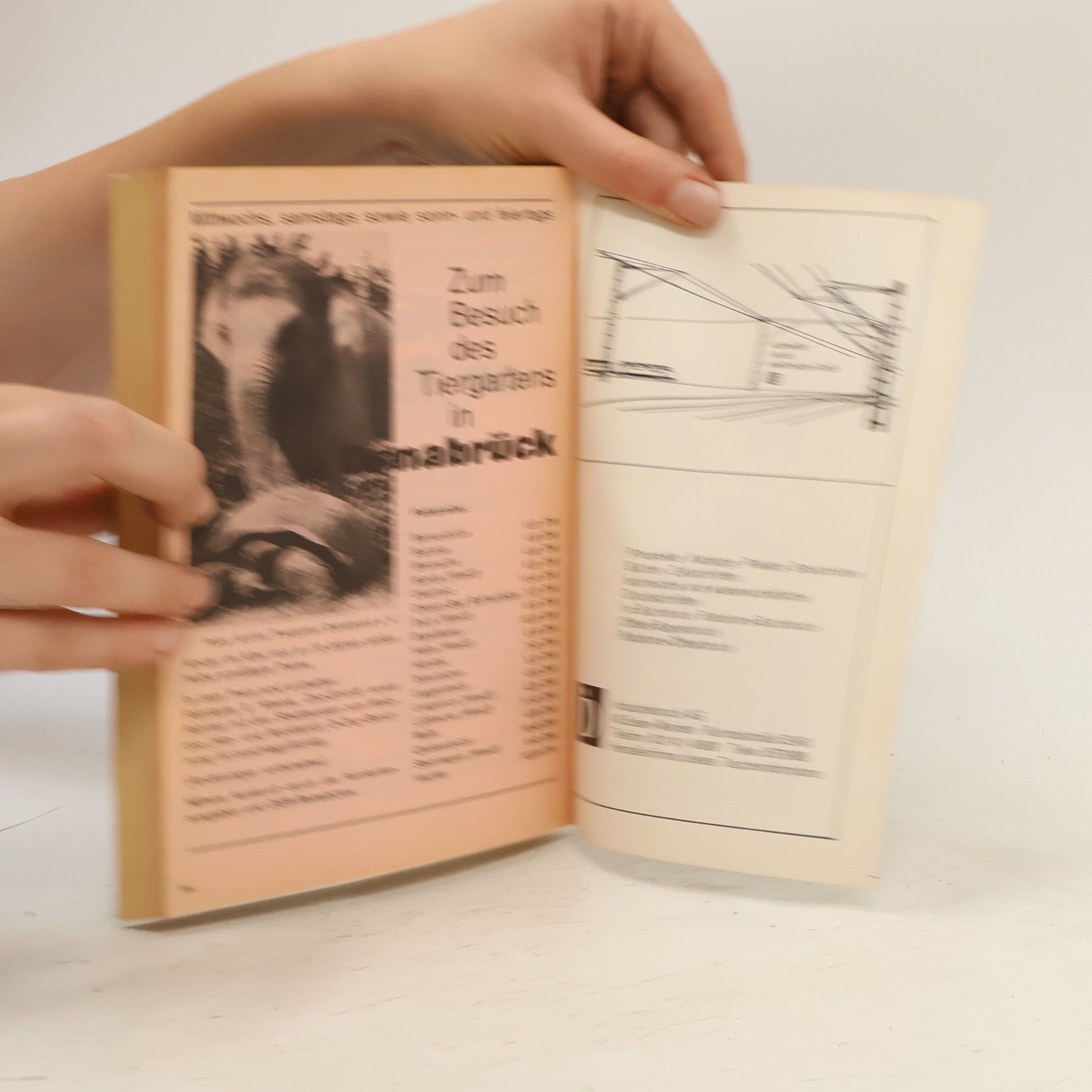 kolektiv Taschenfahrplan. Osnabrück. Diepholz. Süd-Oldenburg