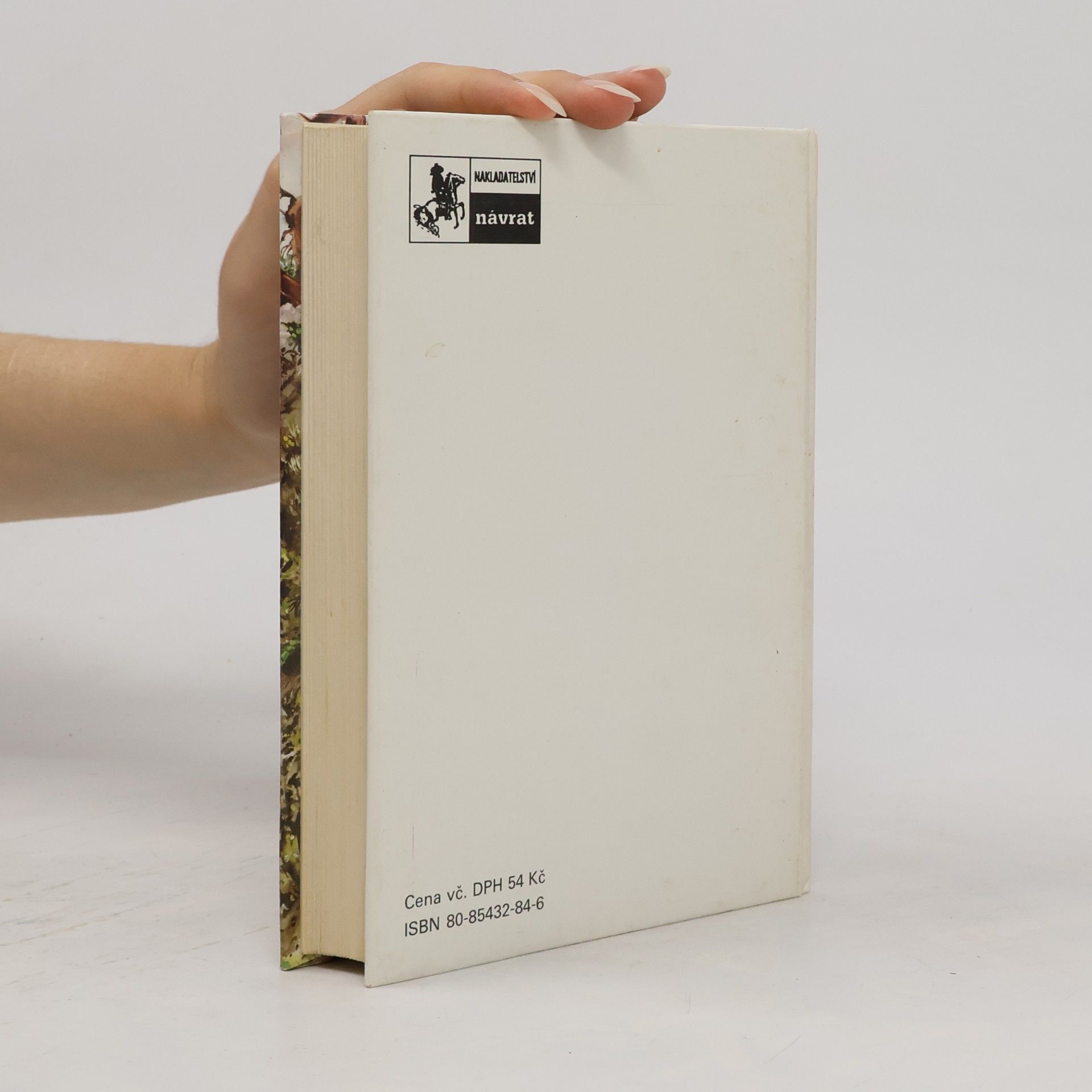 Zane Grey Tajemství západního průsmyku