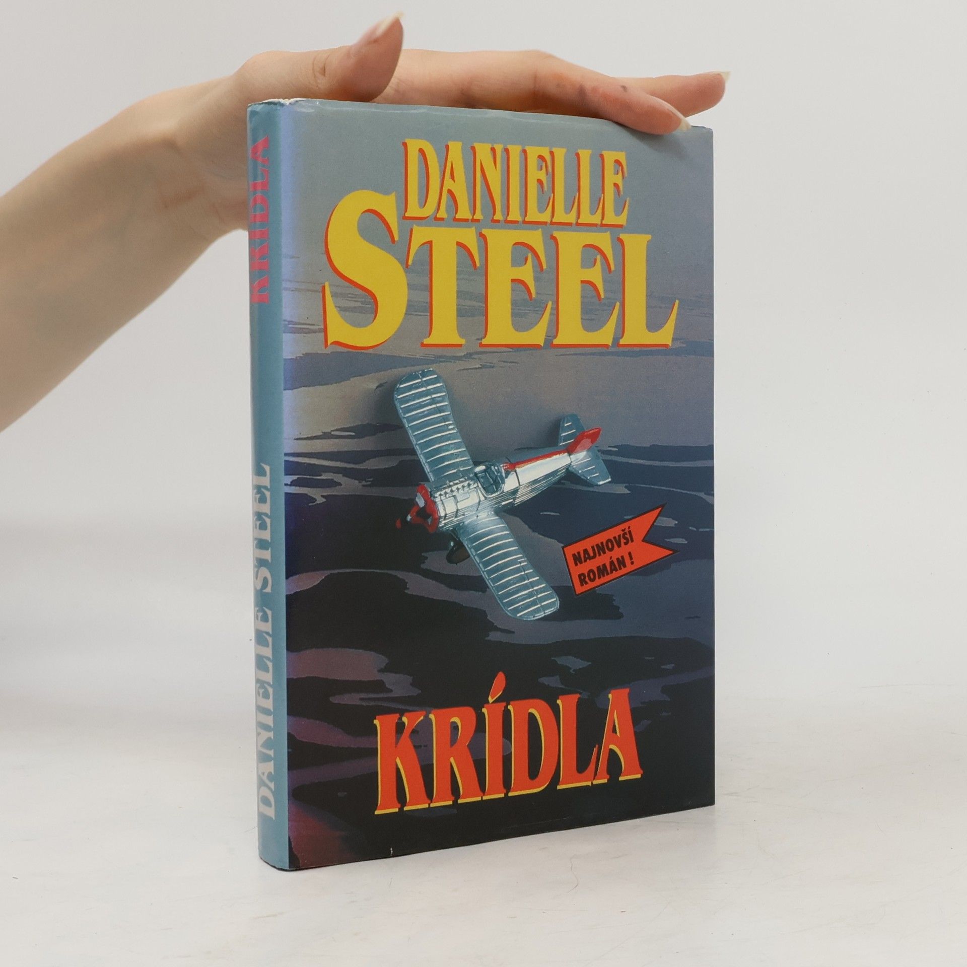 Danielle Steelová Krídla