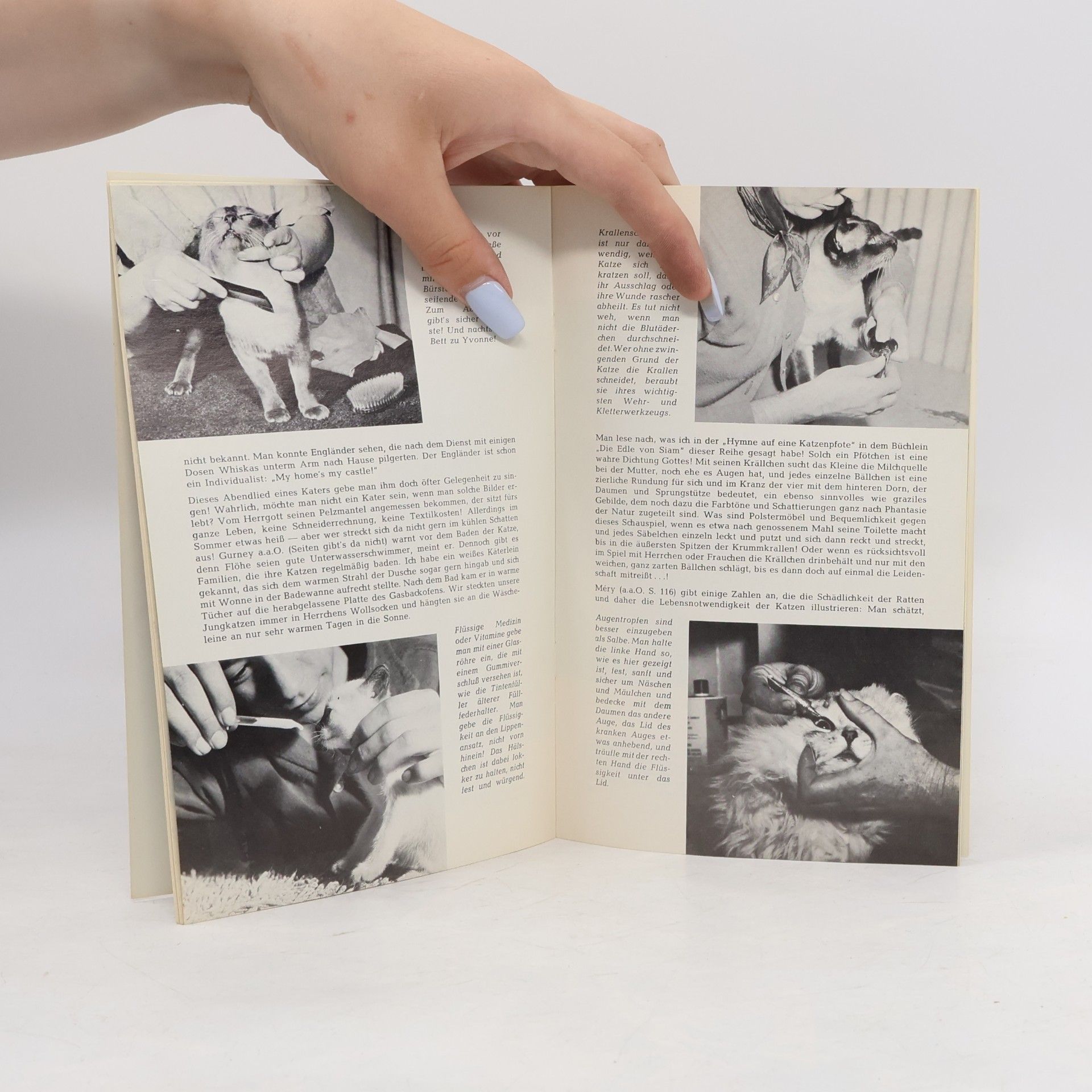 Autorenkollektiv Das gute Heimtierbuch. Unsere Hauskatze