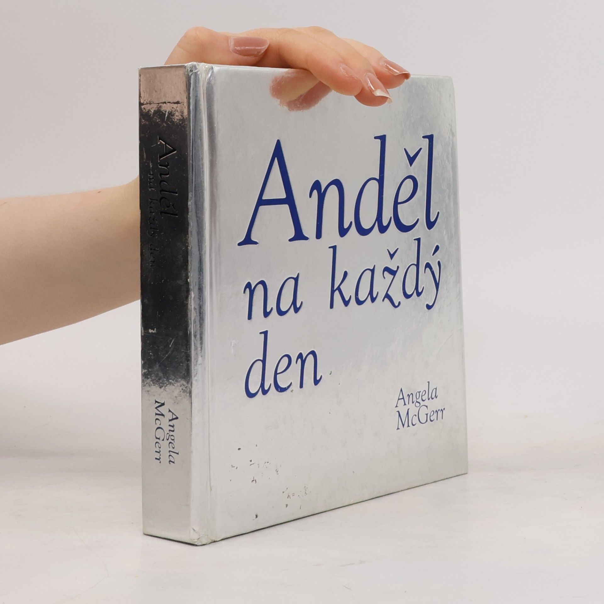 Angela McGerr Anděl na každý den