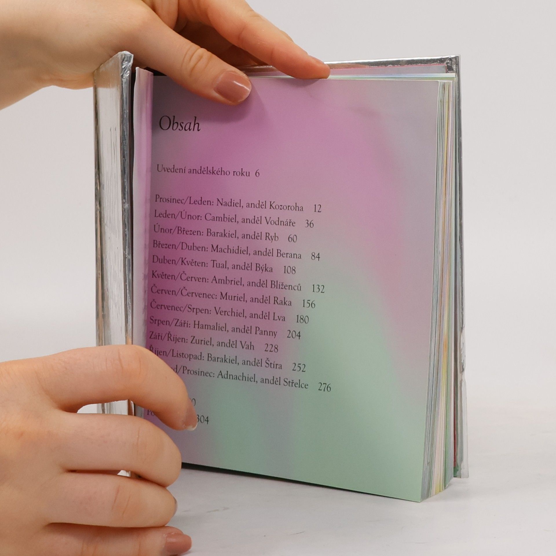 Angela McGerr Anděl na každý den
