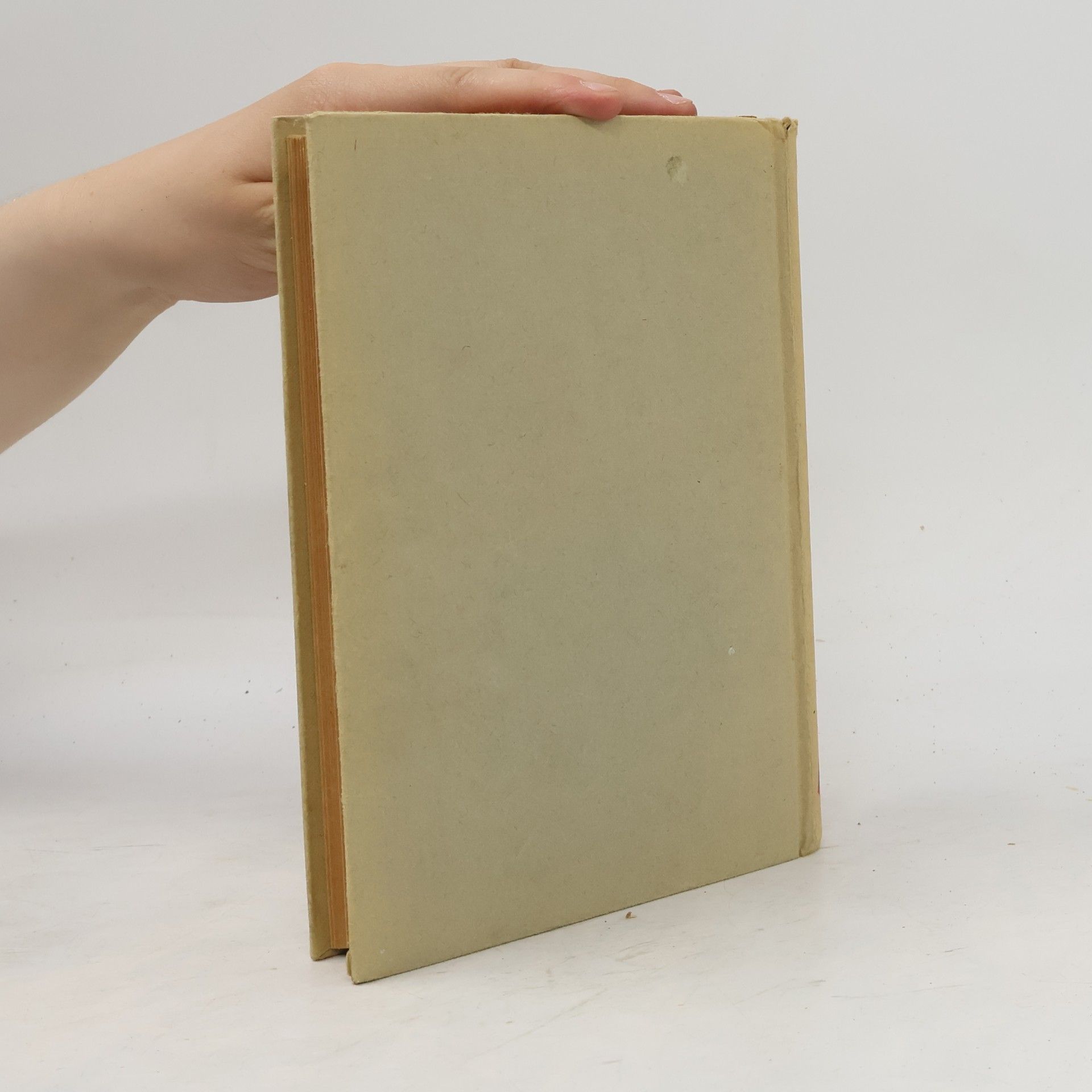 Walter Heichen Das große Märchenbuch