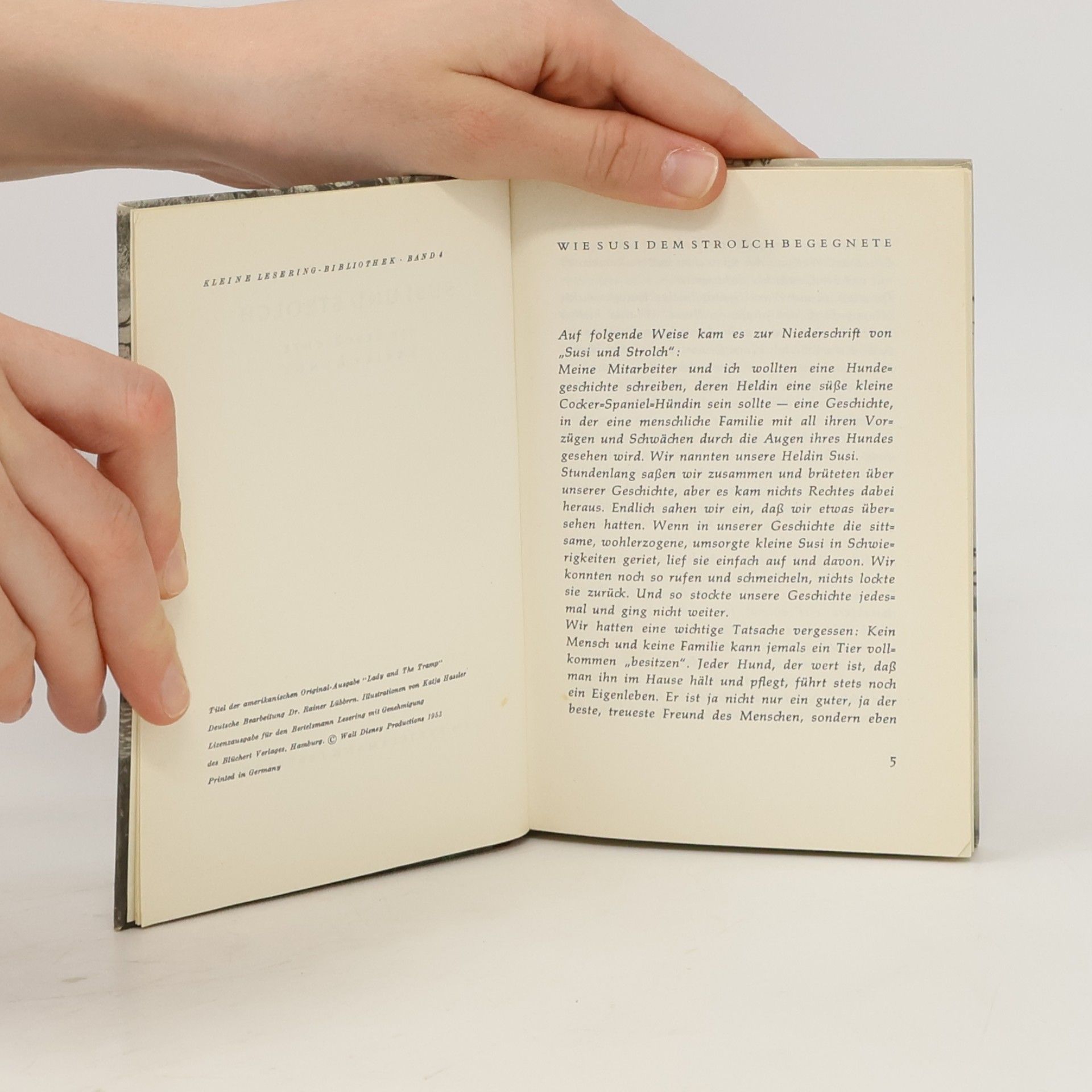 Ward Greene Susi und Strolch