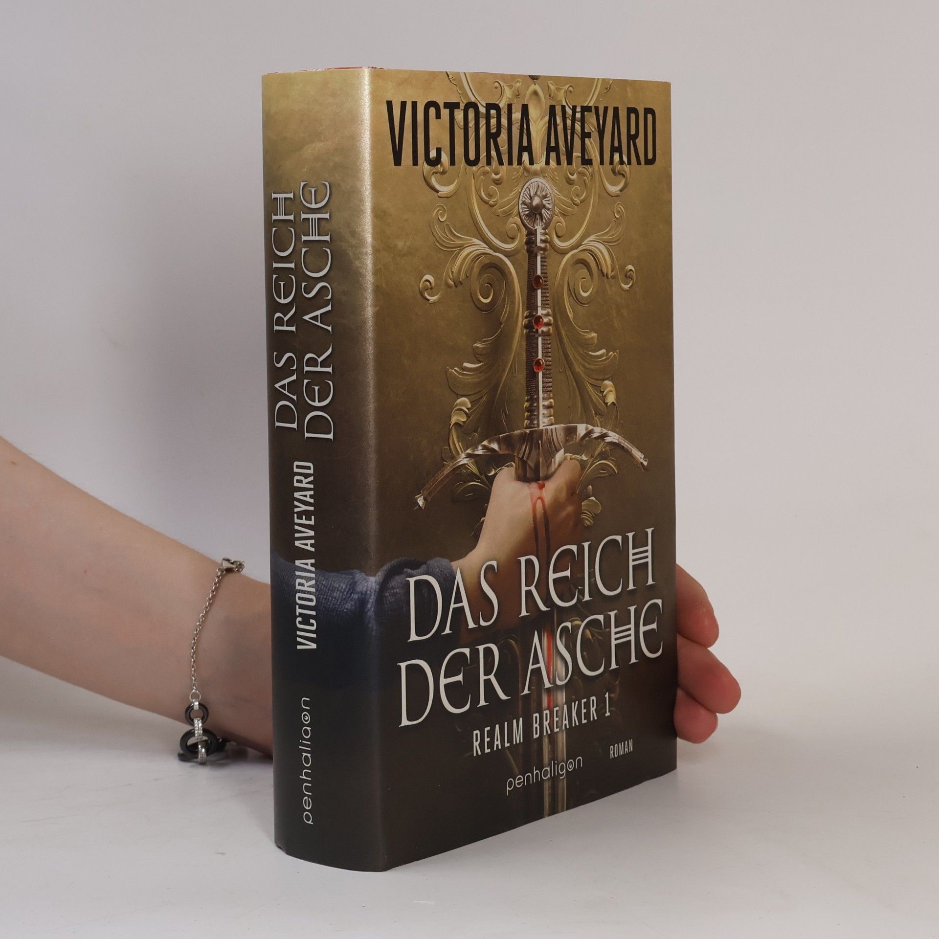 Das Reich der Asche. Realm Breaker 1