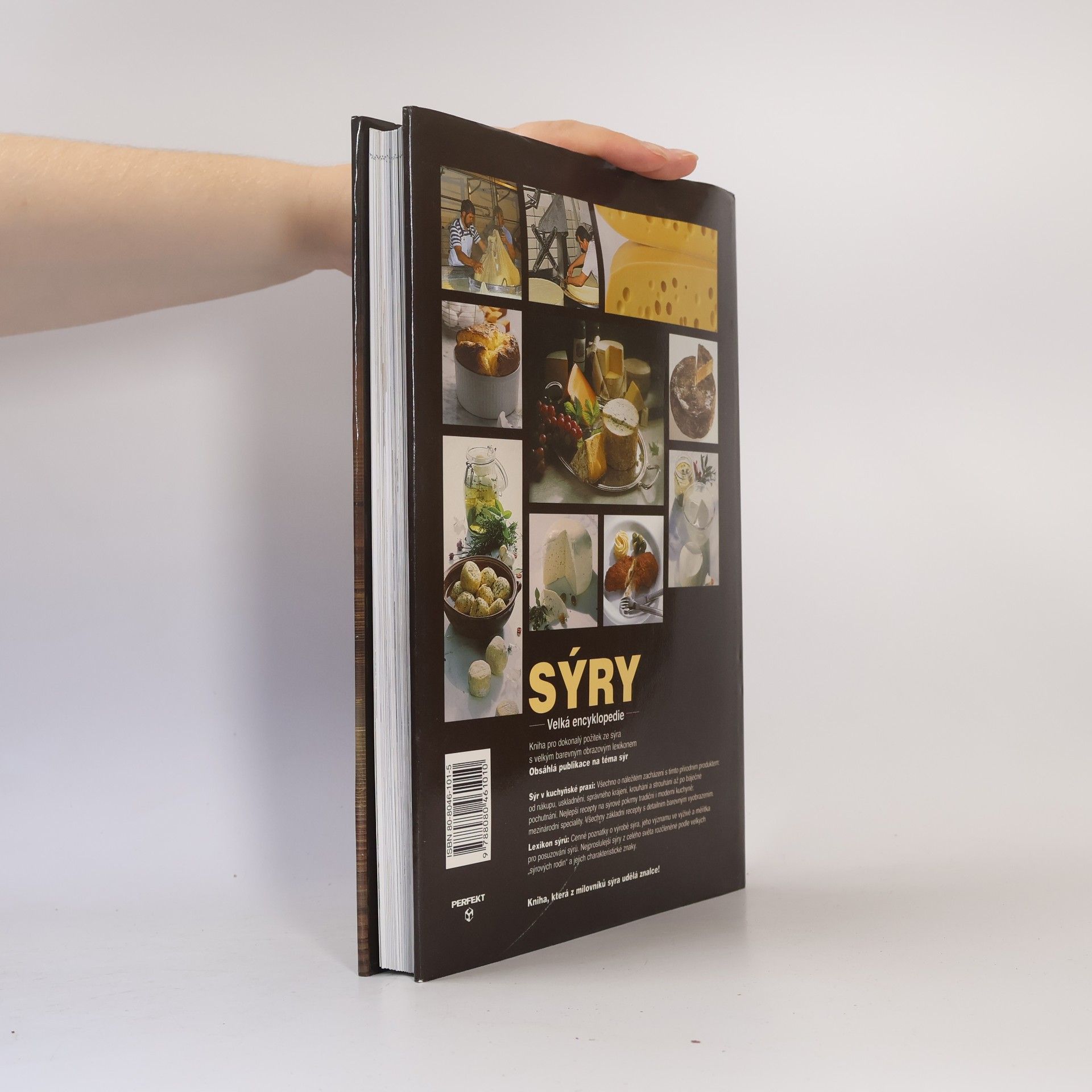 Christian Teubner Sýry: Velká encyklopedie