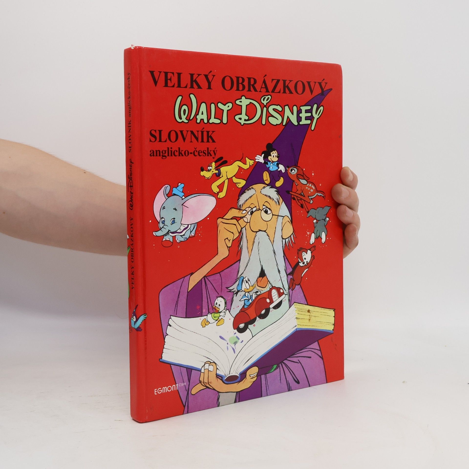 Walt Disney Velký obrázkový slovník anglicko-český