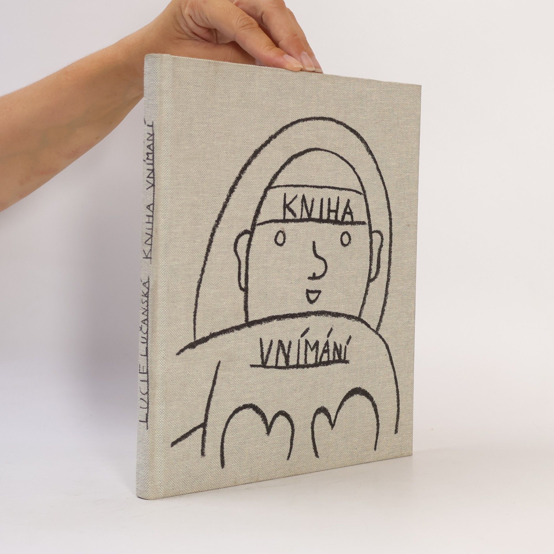 Lucie Lučanská Kniha vnímání