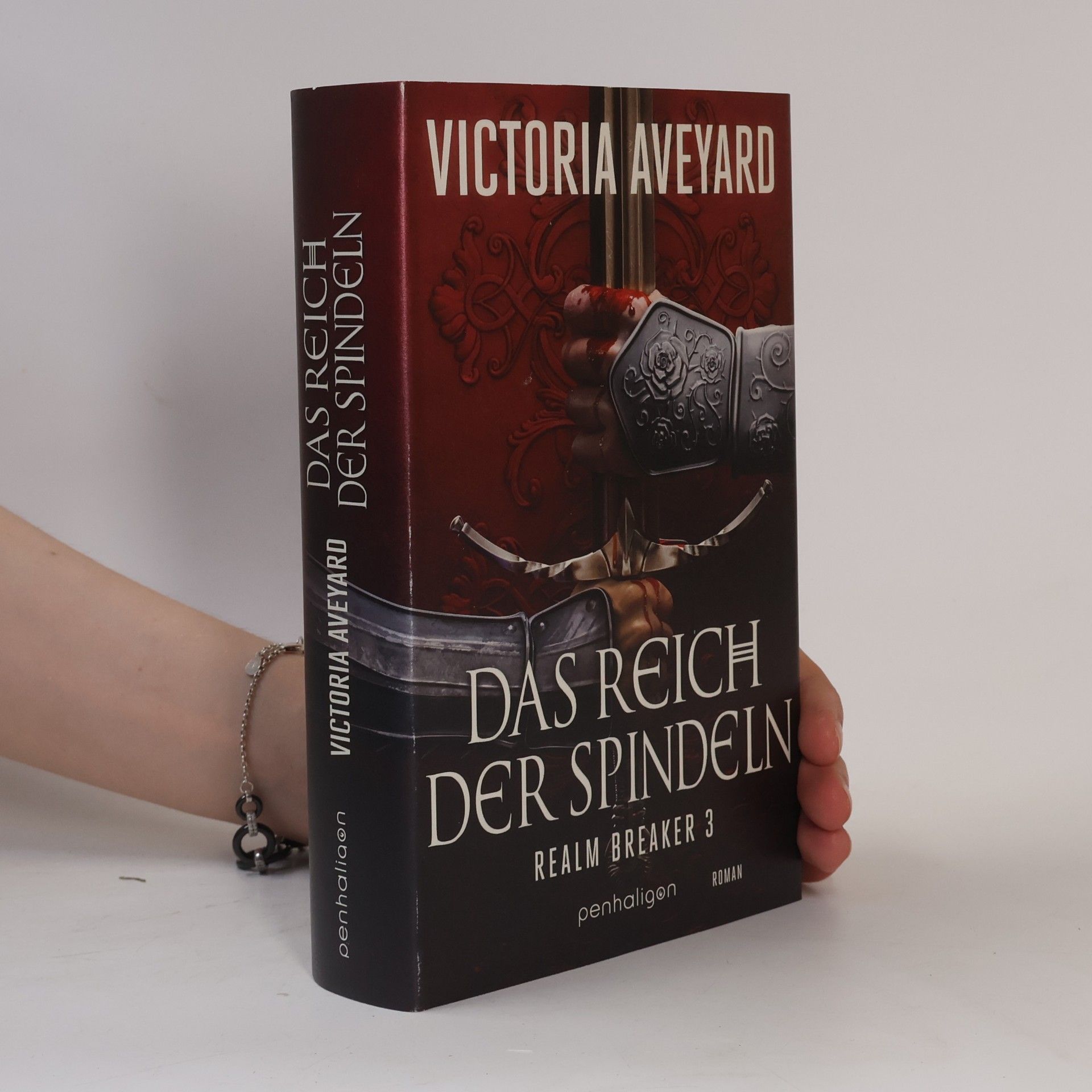 Das Reich der Spindeln - Realm Breaker 3