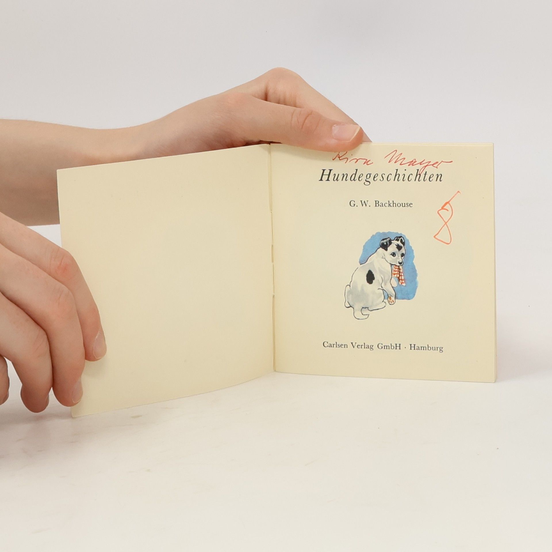 Kolektiv autorů Hundegeschichten 7