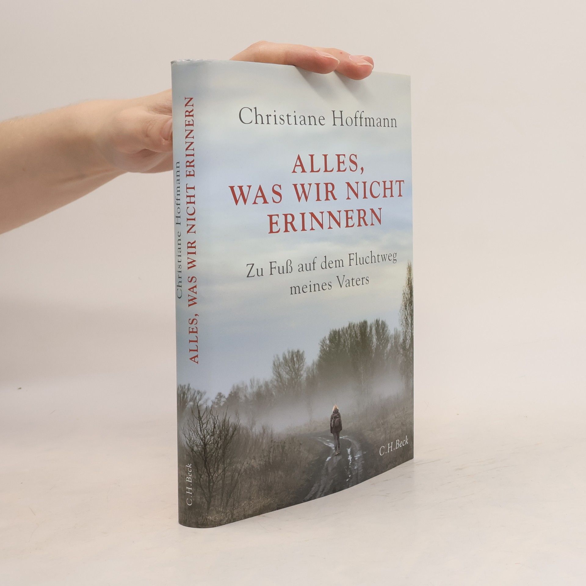 Christiane Hoffmann Alles, was wir nicht erinnern