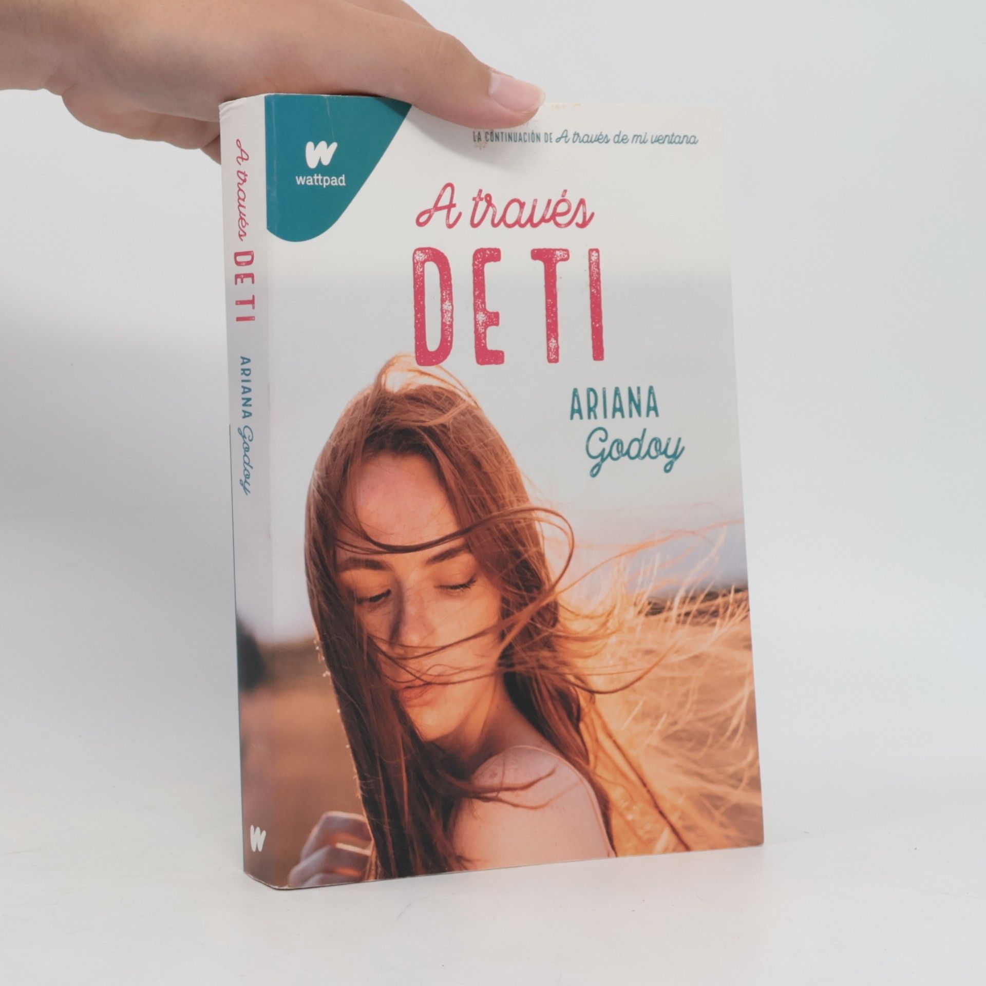 Ariana Godoy A través de ti