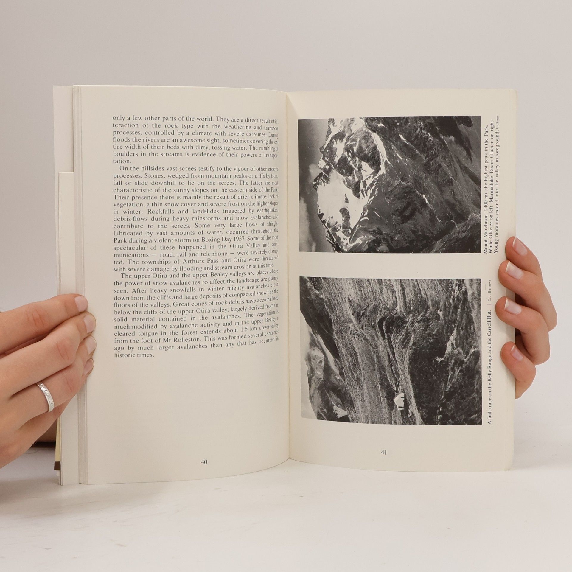 AA.VV. Handbook to the Arthur's Pass National Park.