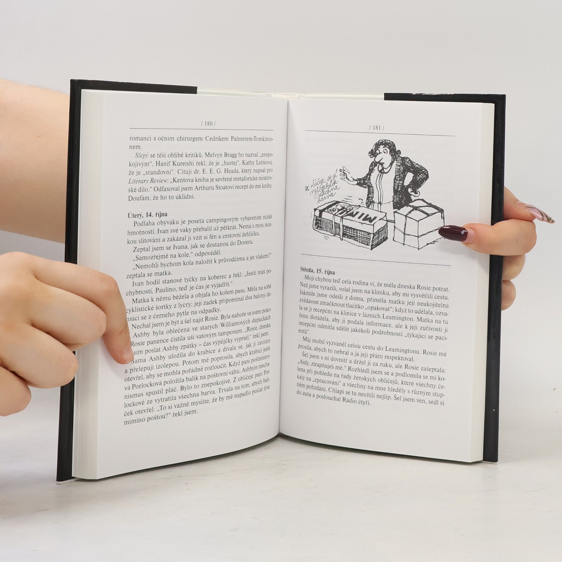 Sue Townsend Adrian Mole. Léta u kapučína