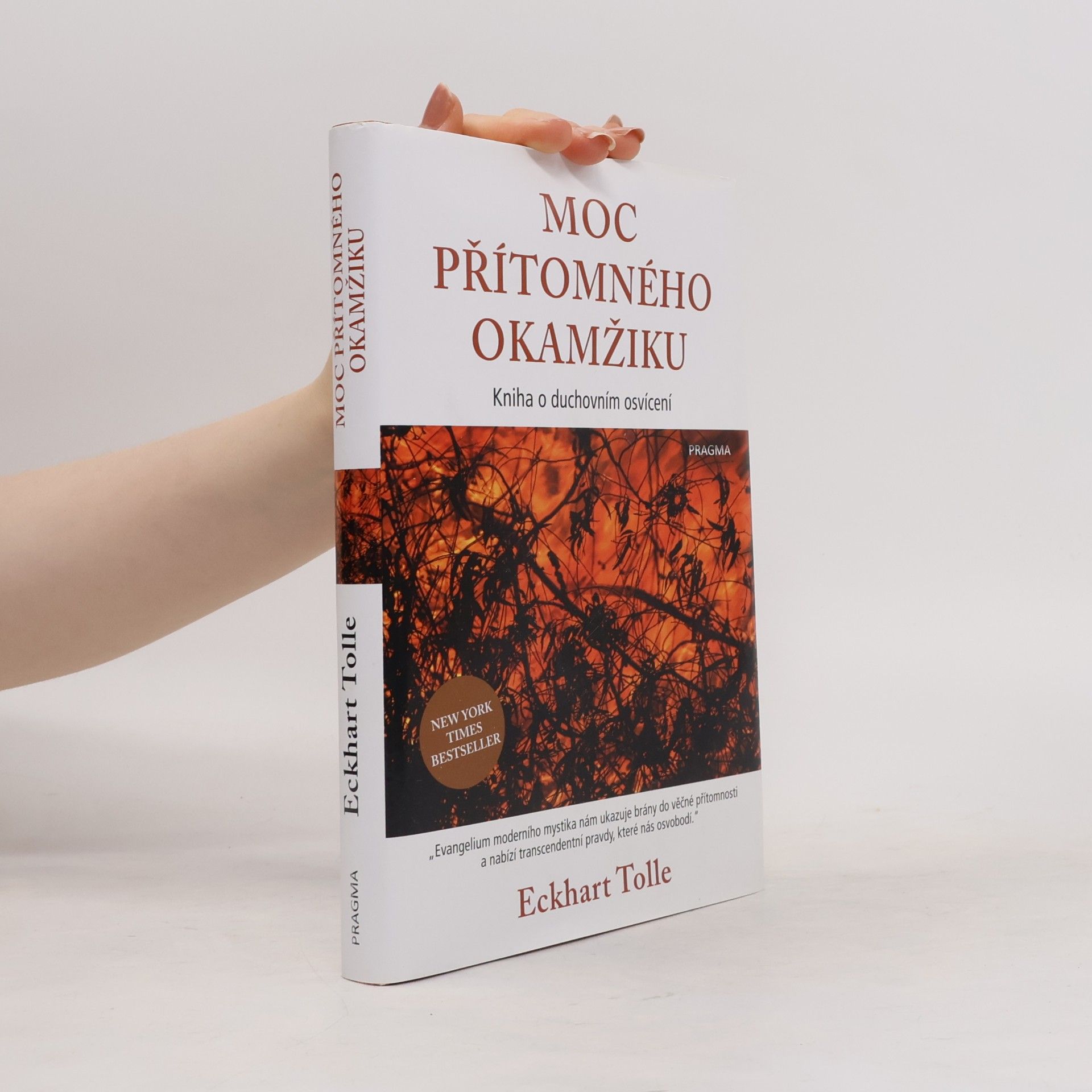 Eckhart Tolle Moc přítomného okamžiku
