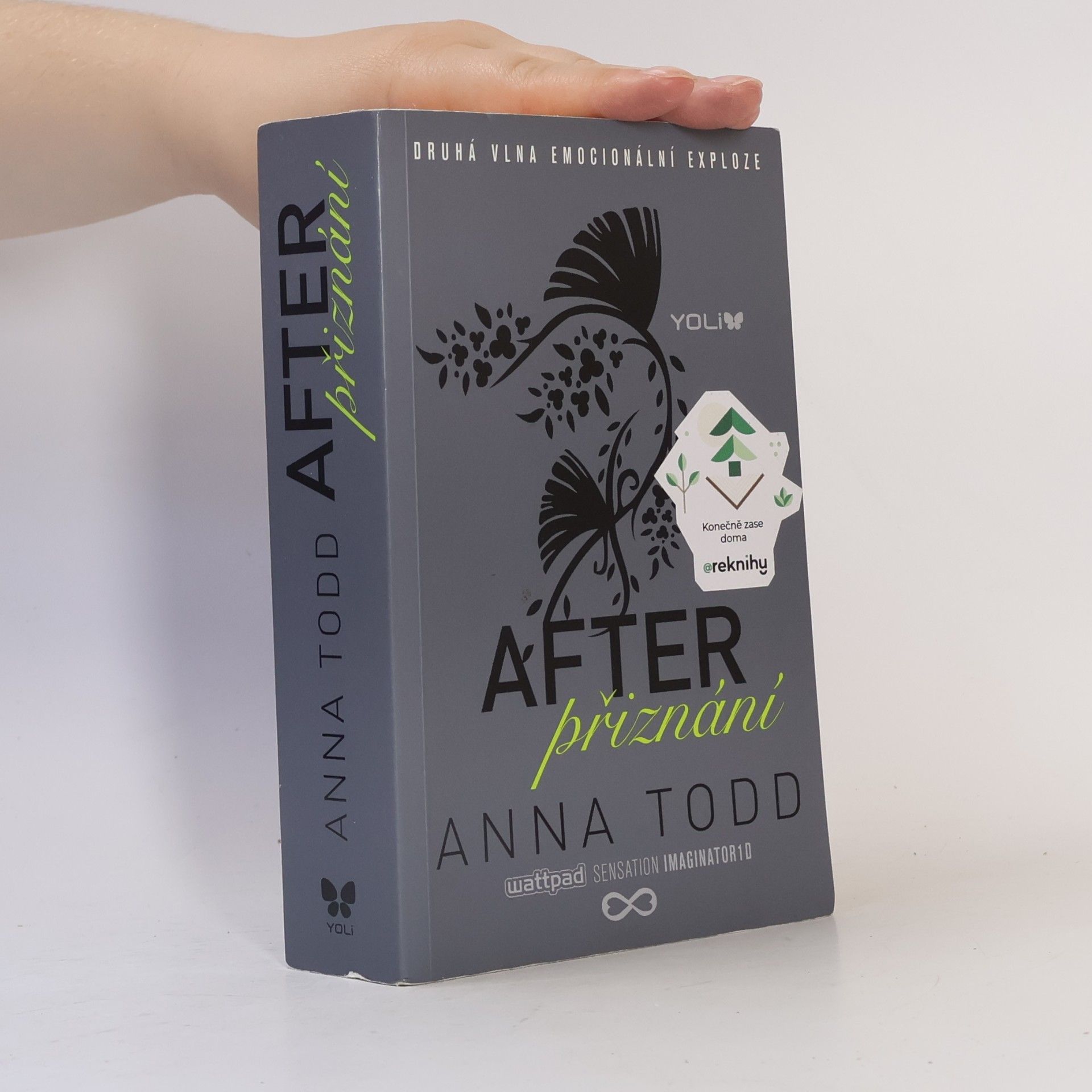 Anna Todd After. Přiznání