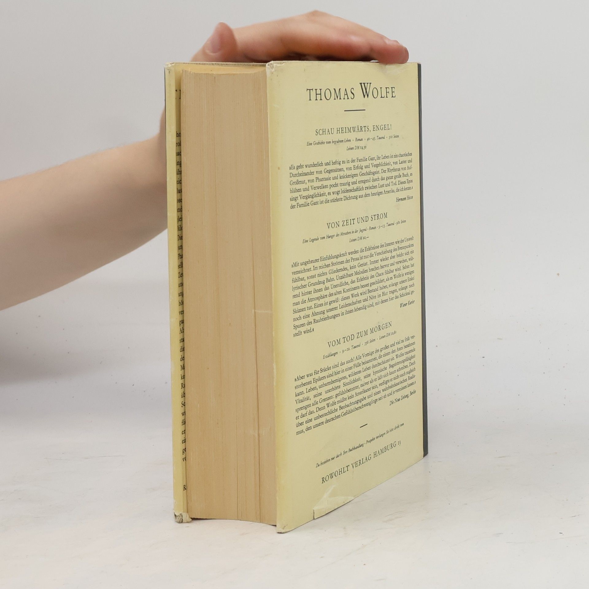 Thomas Wolfe Geweb und Fels