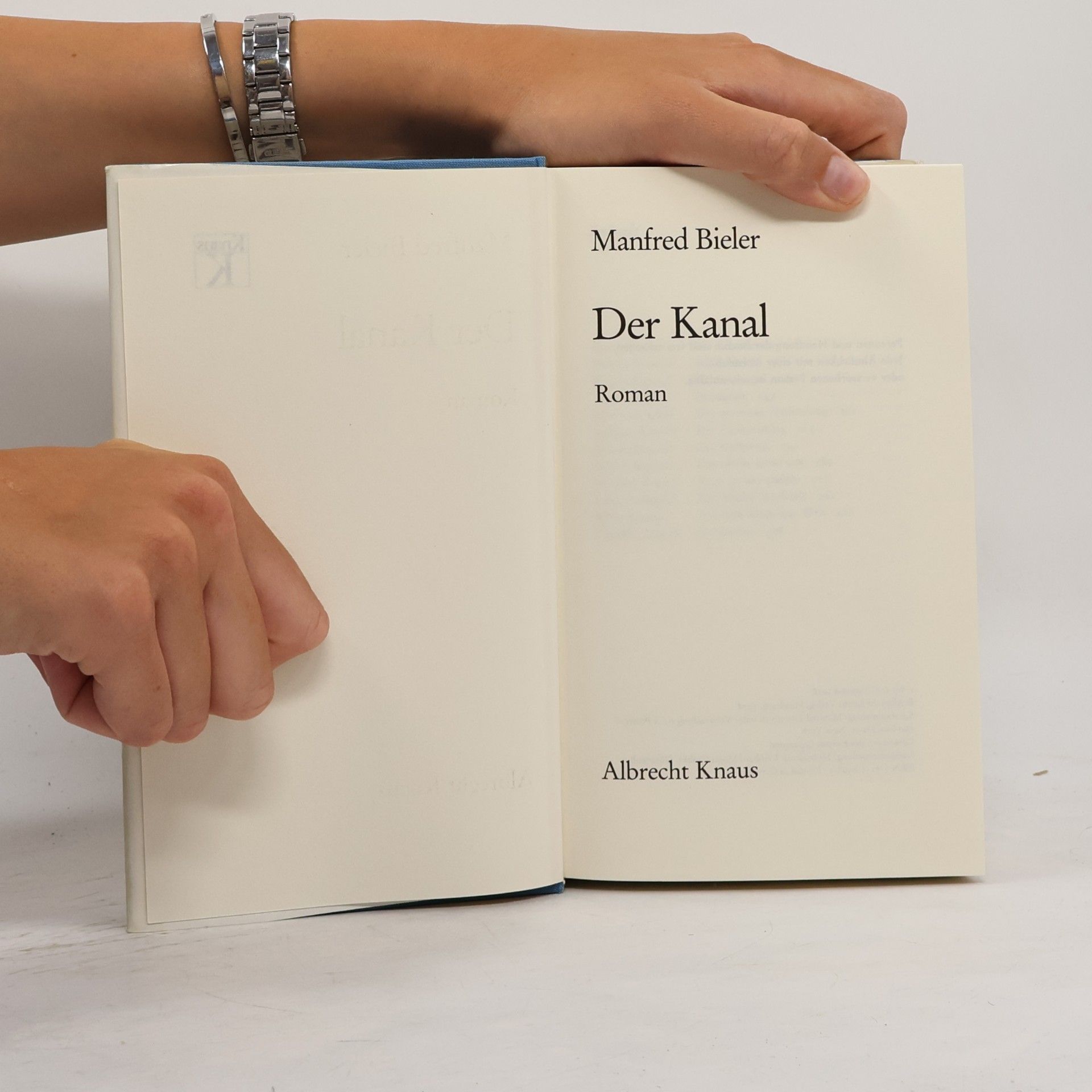 Manfred Bieler Der Kanal