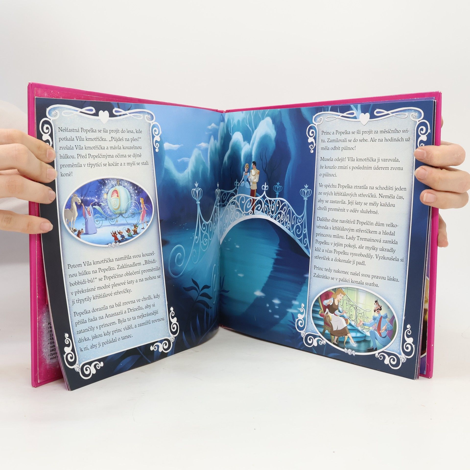 Andrea Vašíčková Disney princezny : okouzlující 3D efekty