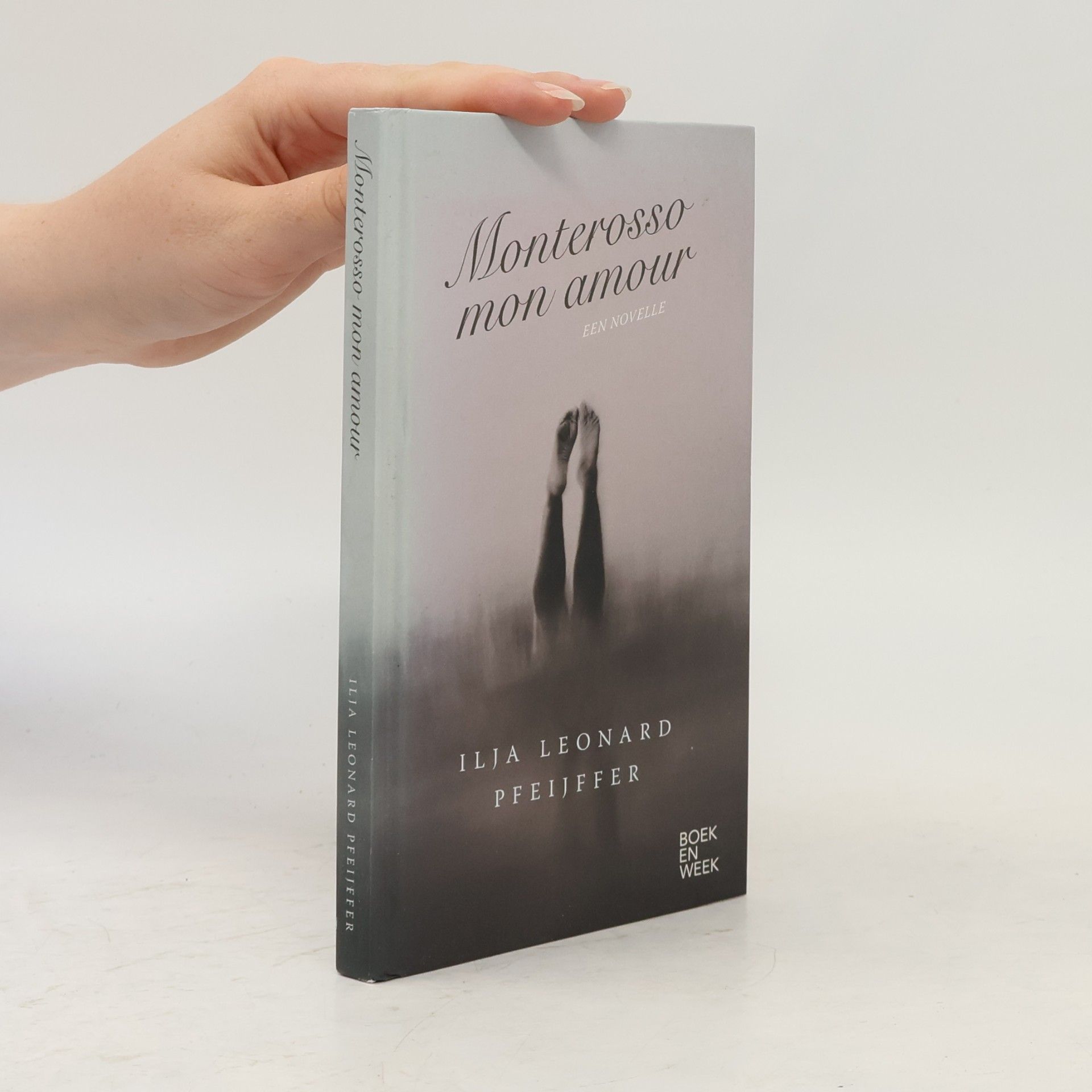 Ilja Leonard Pfeijffer Monterosso mon amour