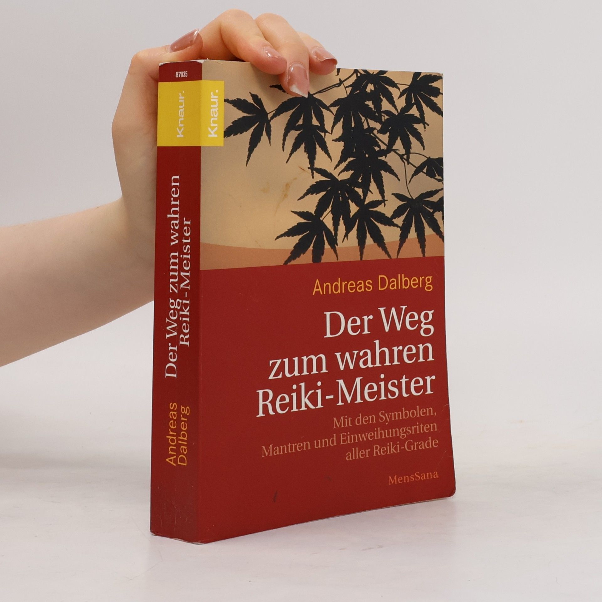 Andreas Dalberg Der Weg zum wahren Reiki-Meister