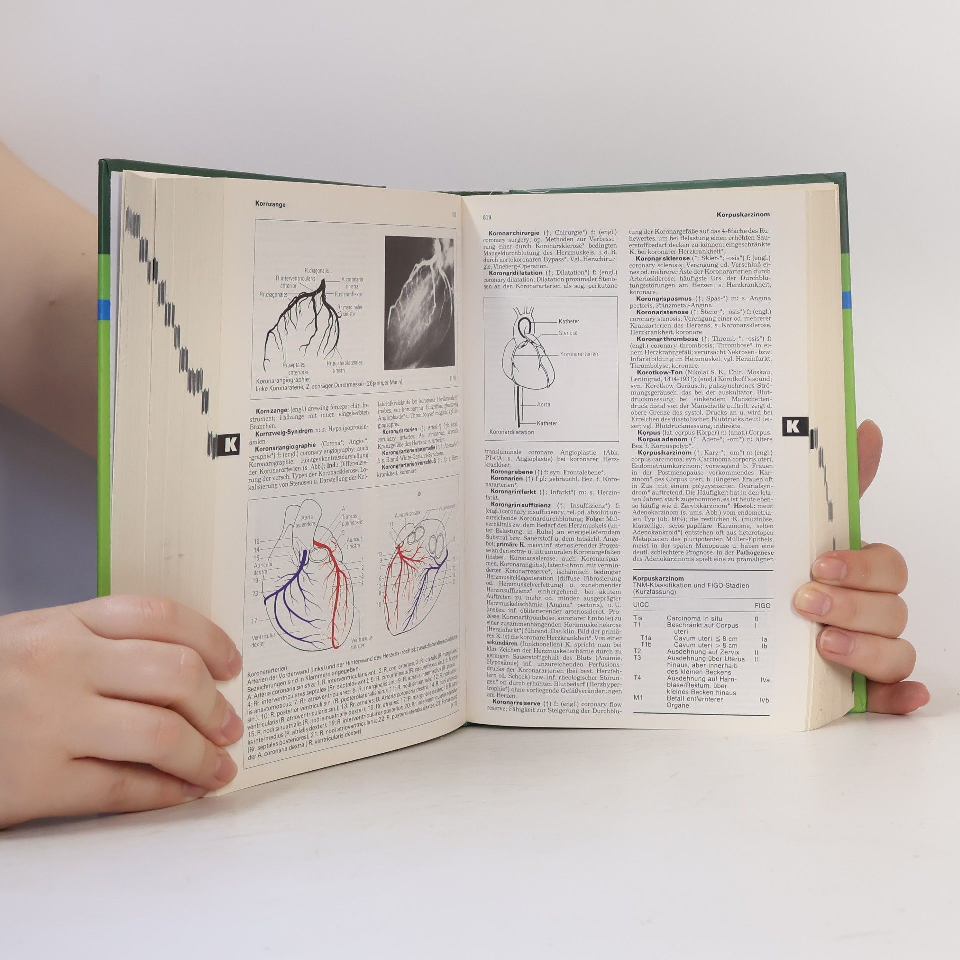 Willibald Pschyrembel Pschyrembel Medizinisches Wörterbuch