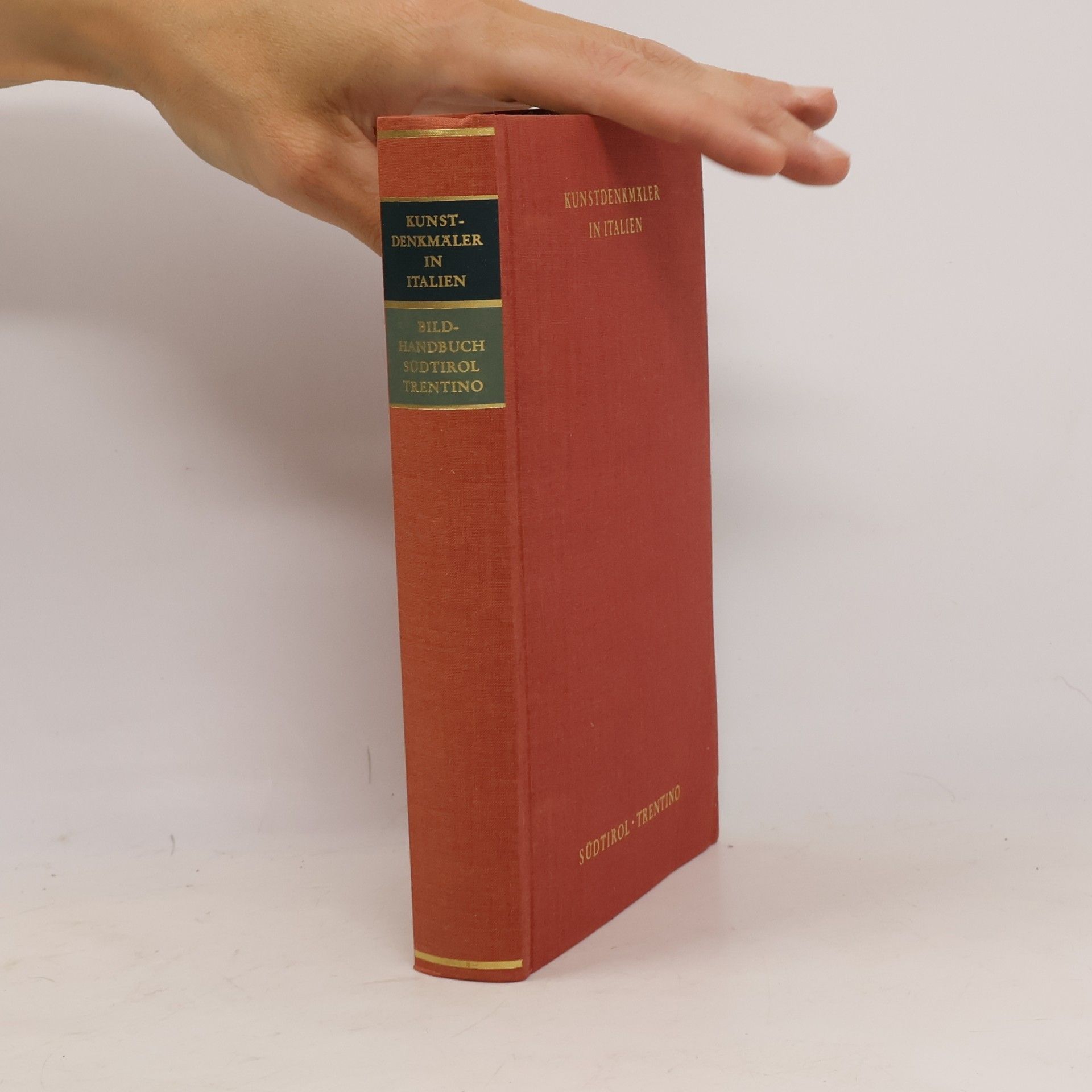 Herbert Dellwing Kunstdenkmäler in Italien. Venedig Stadt und Provinz