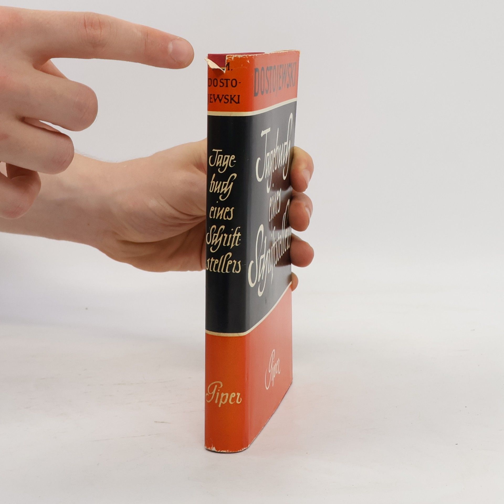 Fjodor Michailowitsch Dostojewski Jagebuch eines Schriftstellers