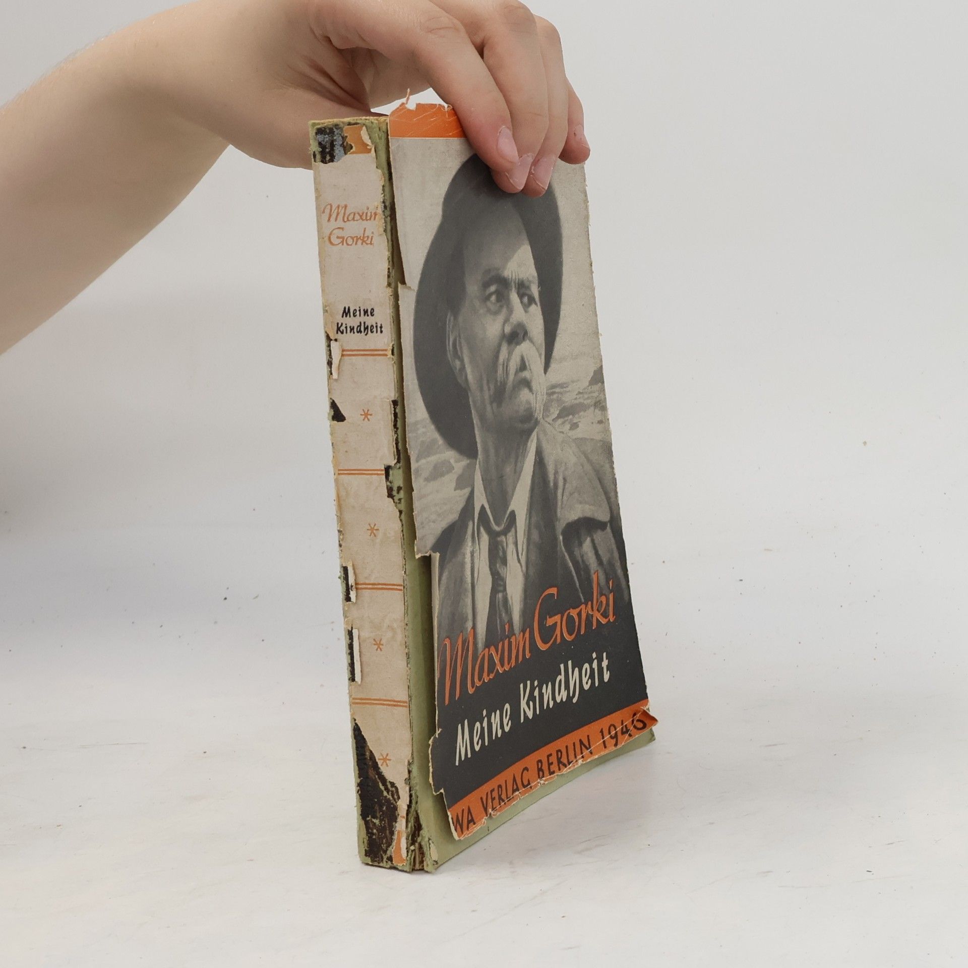 Maxim Gorky Meine Kindheit