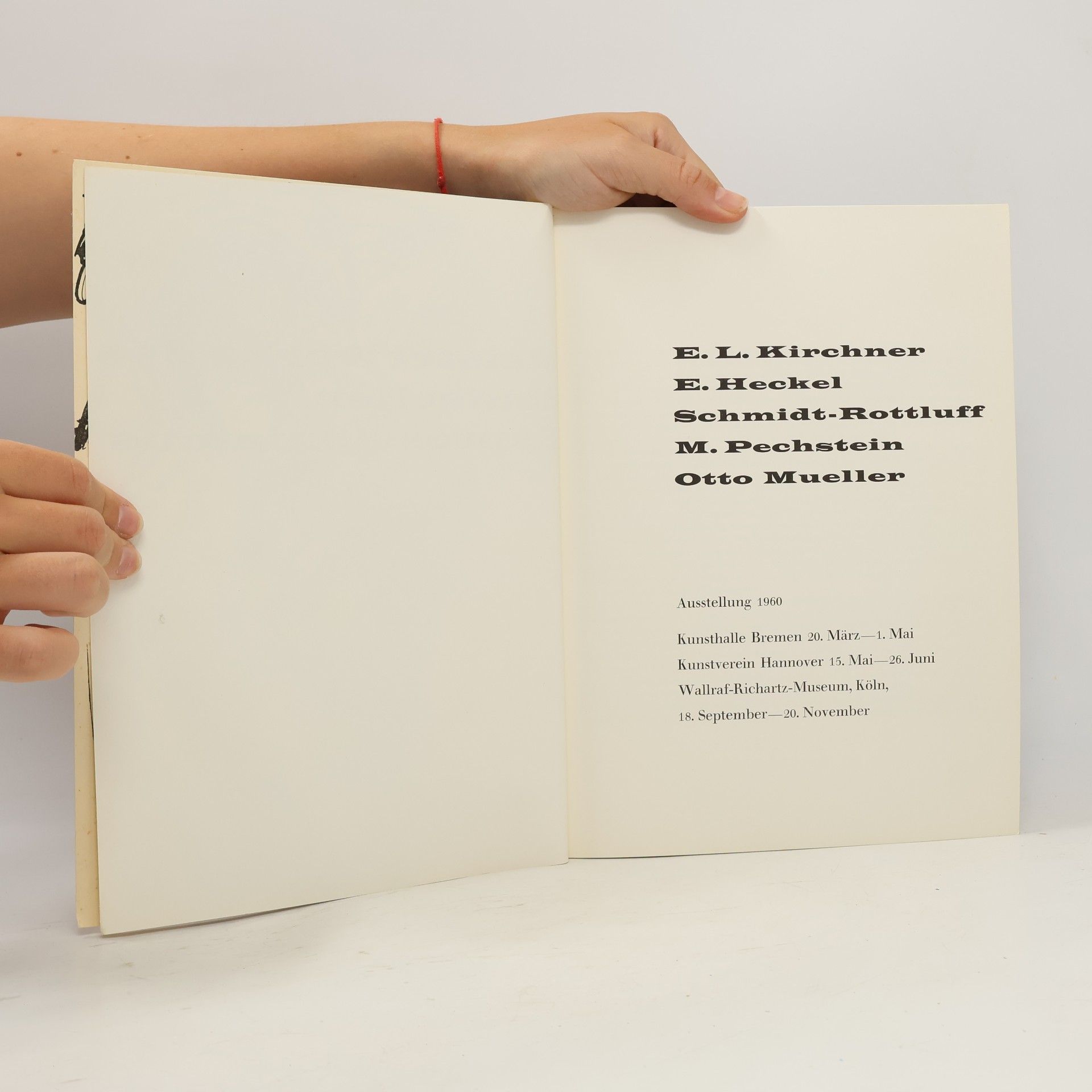 Autorenkollektiv Meisterwerke des deutschen Expressionismus