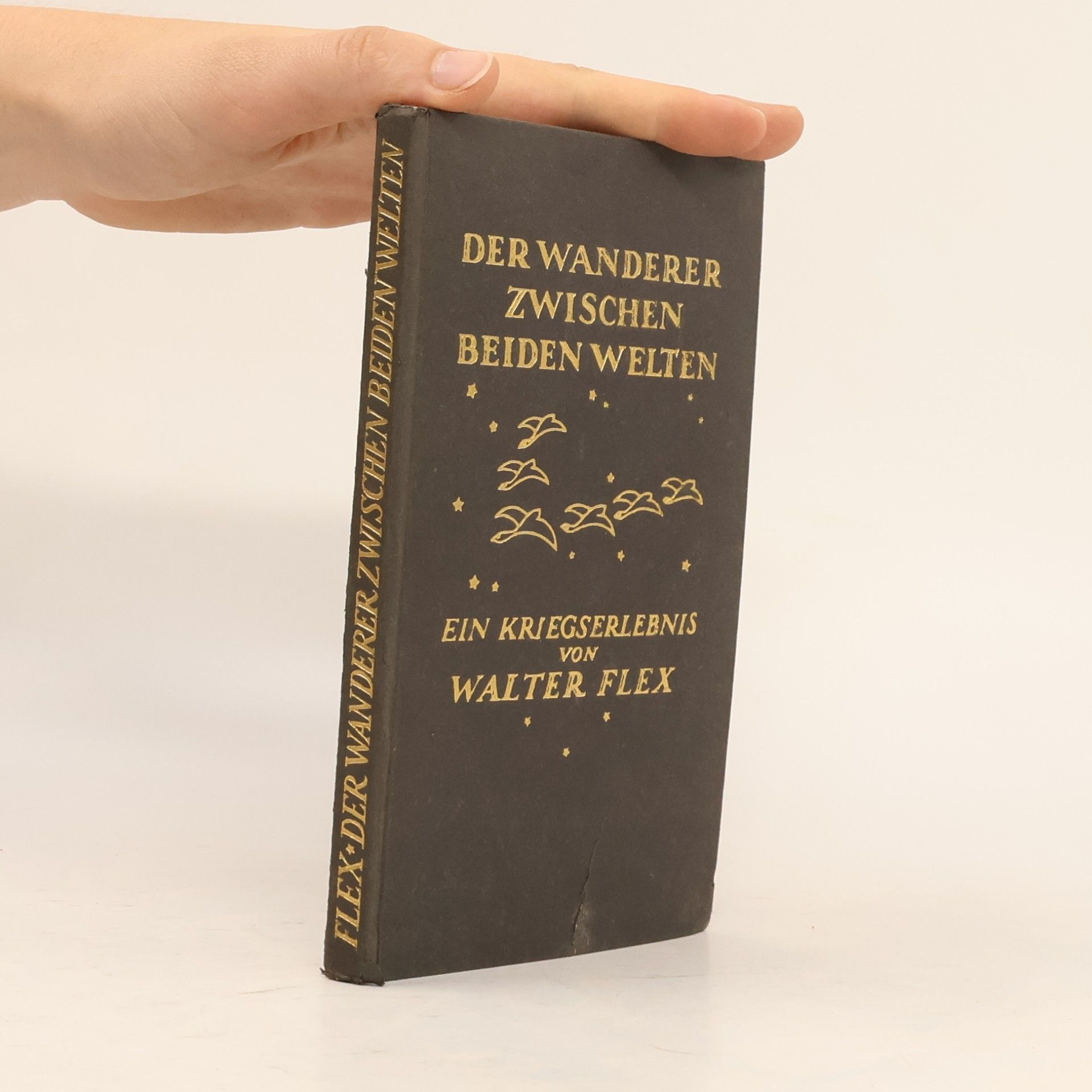 Walter Flex Der Wanderer zwischen beiden Welten