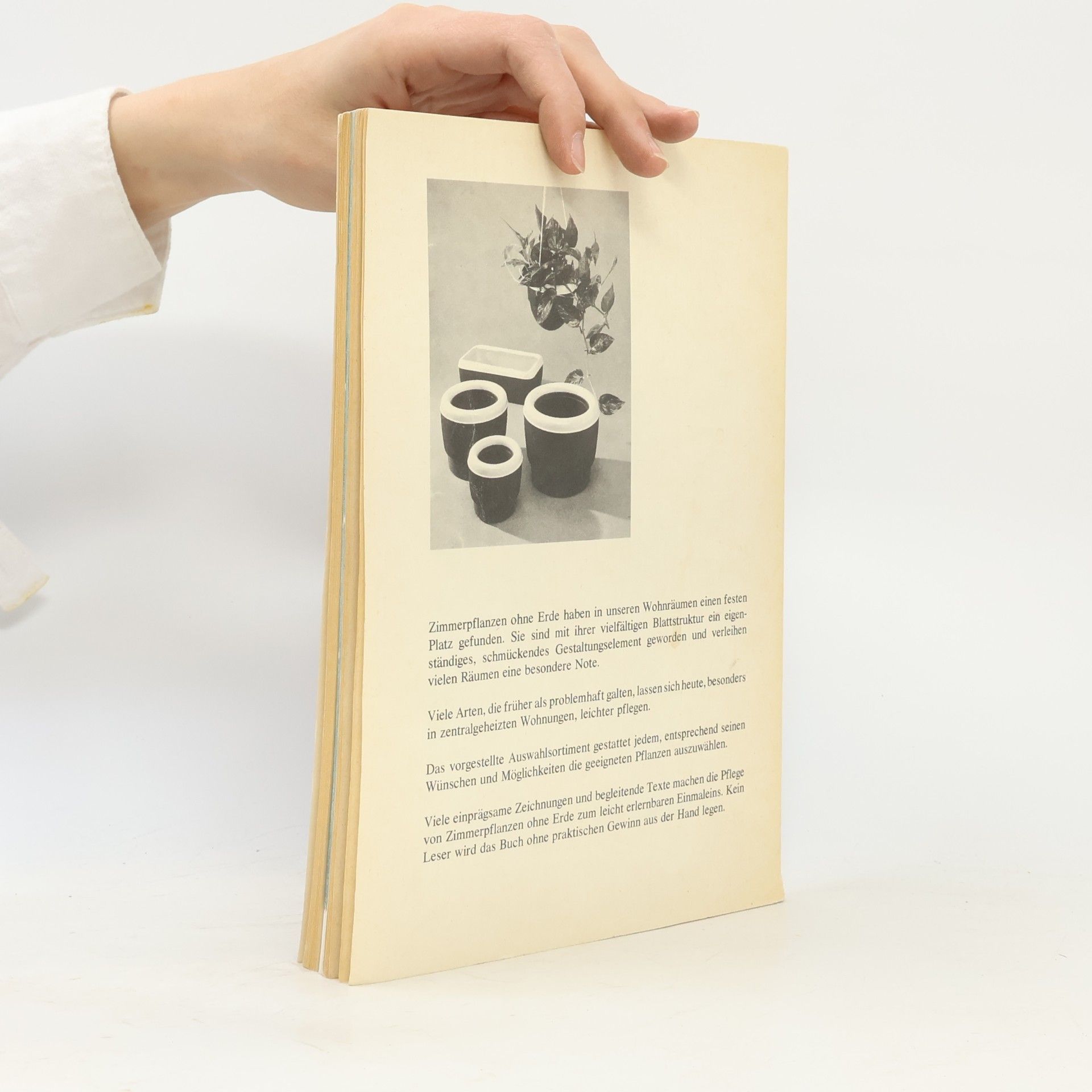 Günther Kühle Zimmerpflanzen in Hydrokultur