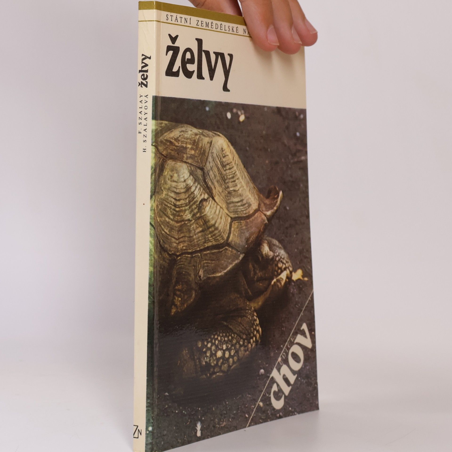 H. Szalayová Želvy