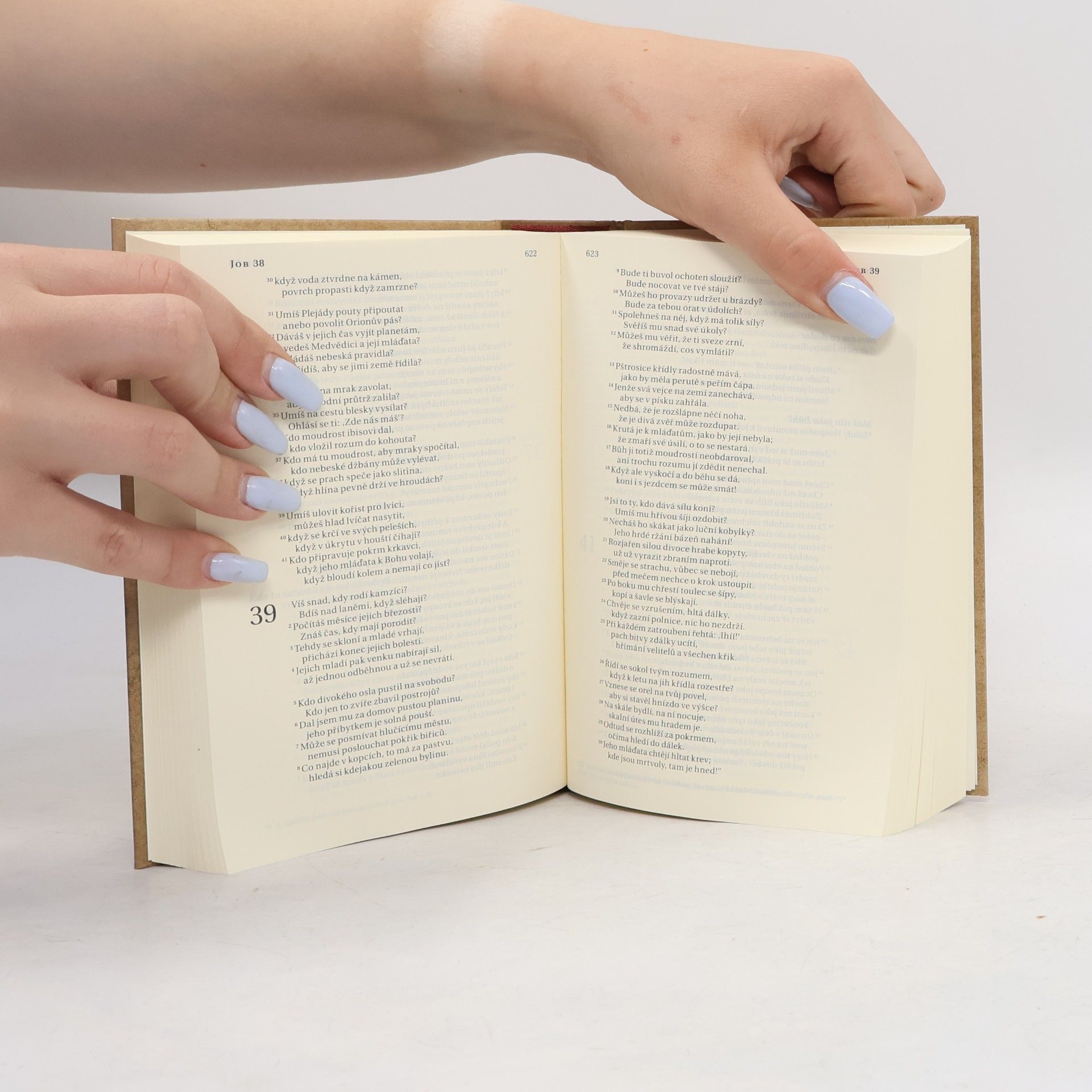 Kolektiv autorů Bible. Překlad 21. století