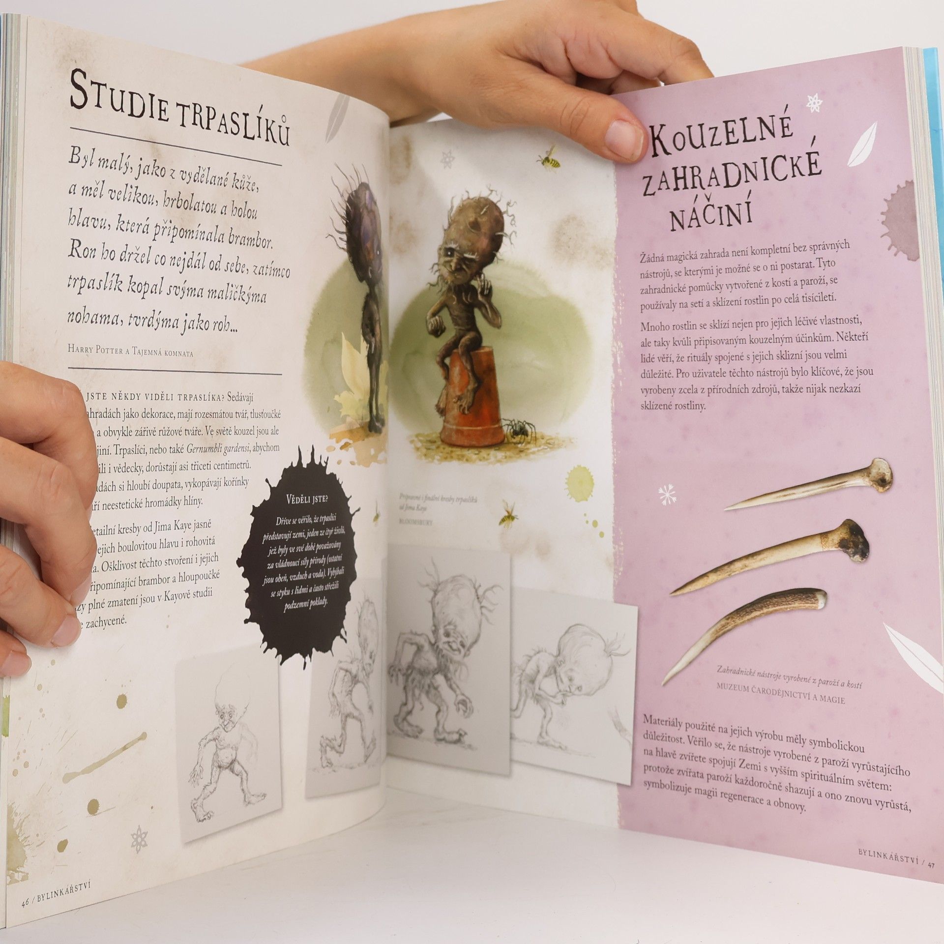 Kateřina Stupková Harry Potter. Cesta dějinami čar a kouzel