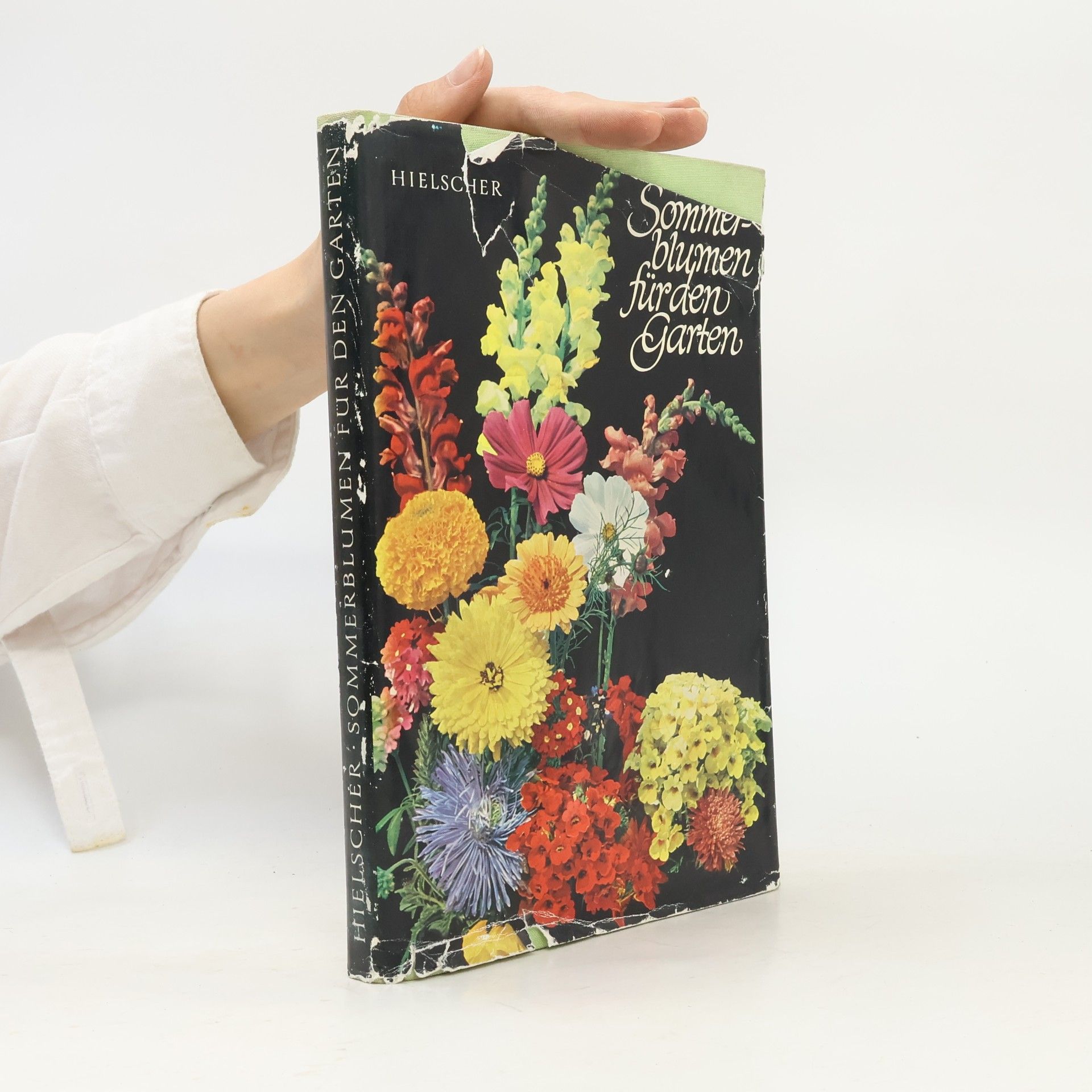Autorenkollektiv Sommerblummen für den Garten