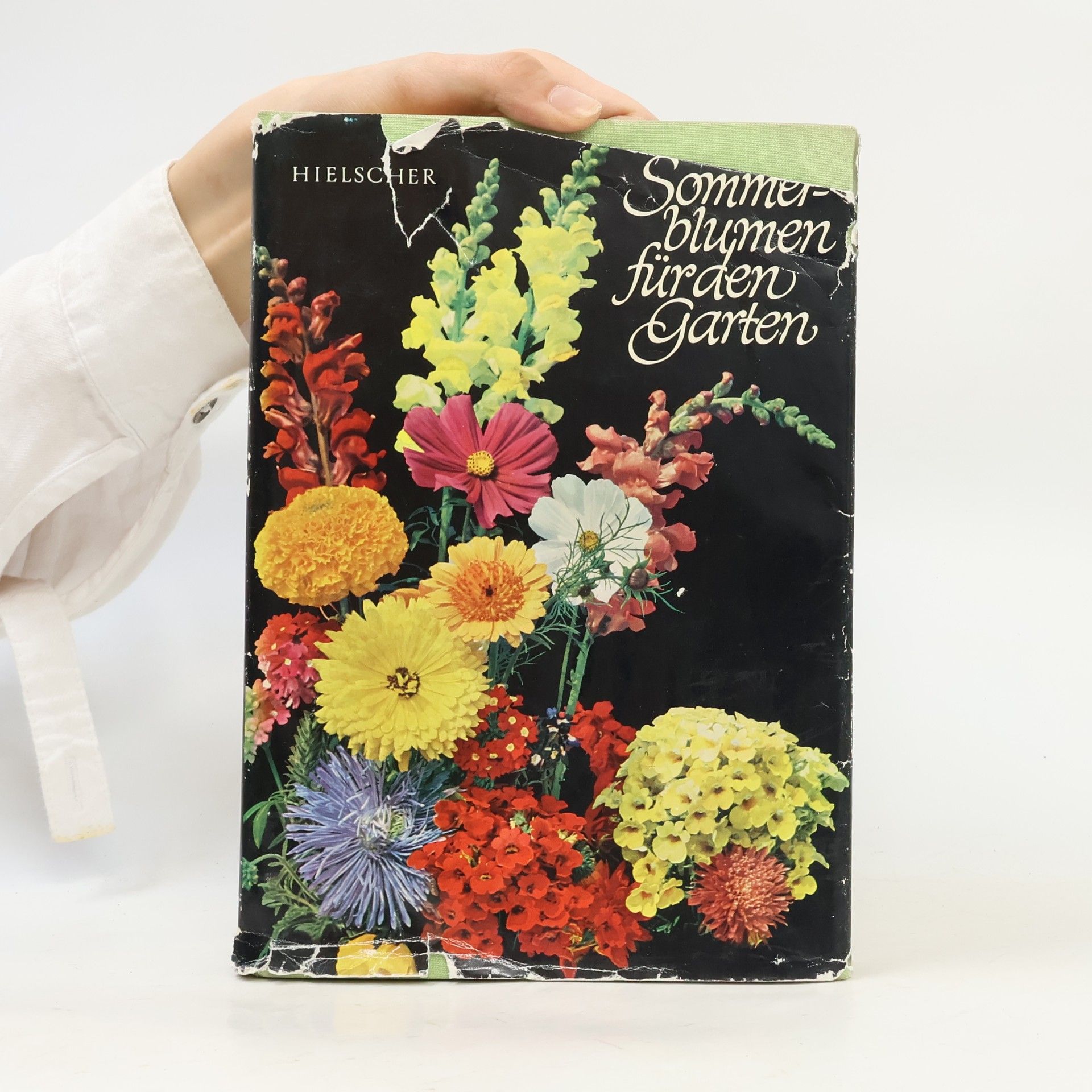 Autorenkollektiv Sommerblummen für den Garten