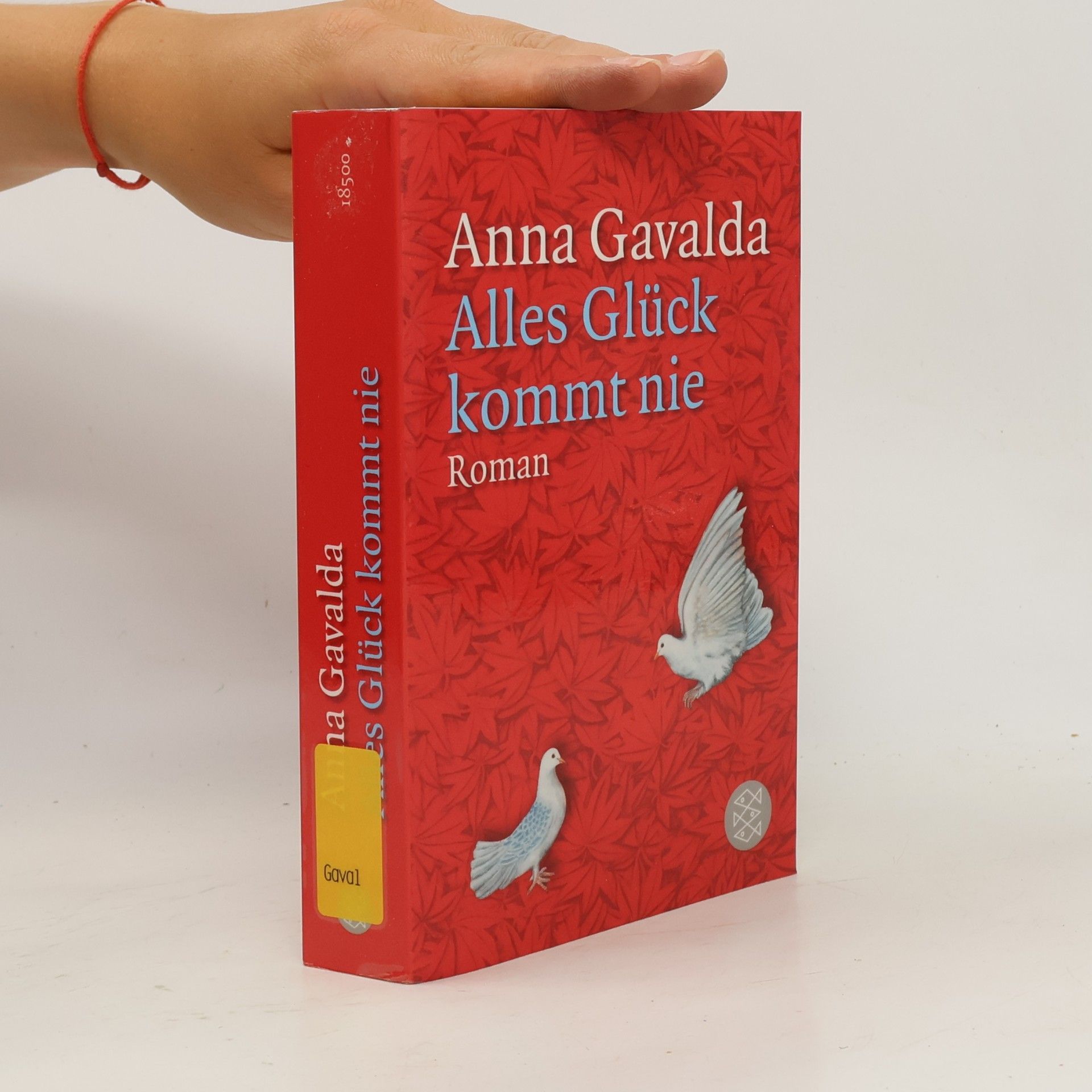 Anna Gavalda Alles Glück kommt nie