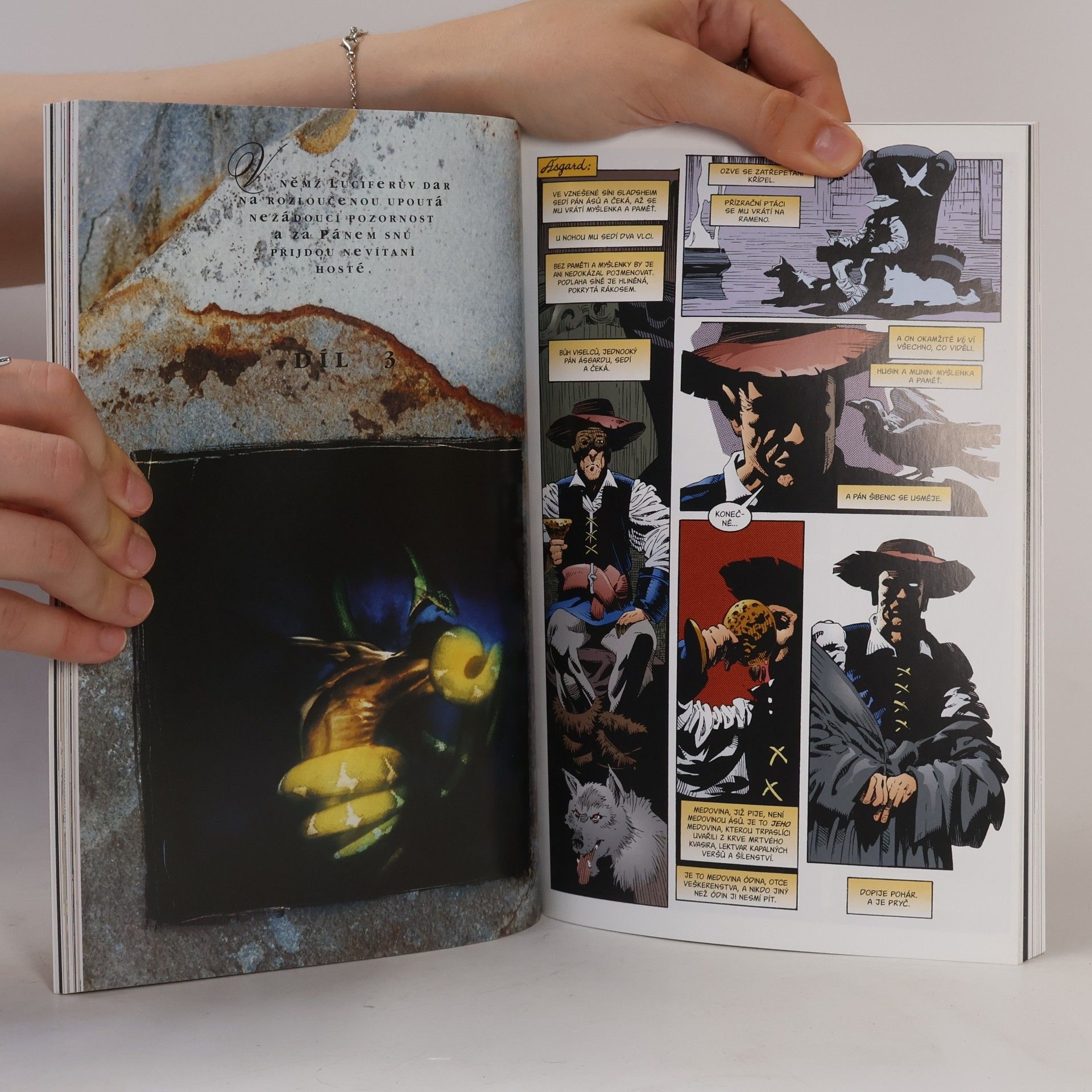 Autorenkollektiv Sandman. Údobí mlh