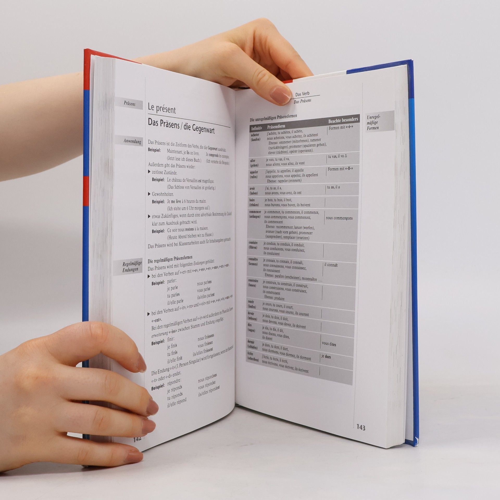 Regina Lübke Französische Grammatik