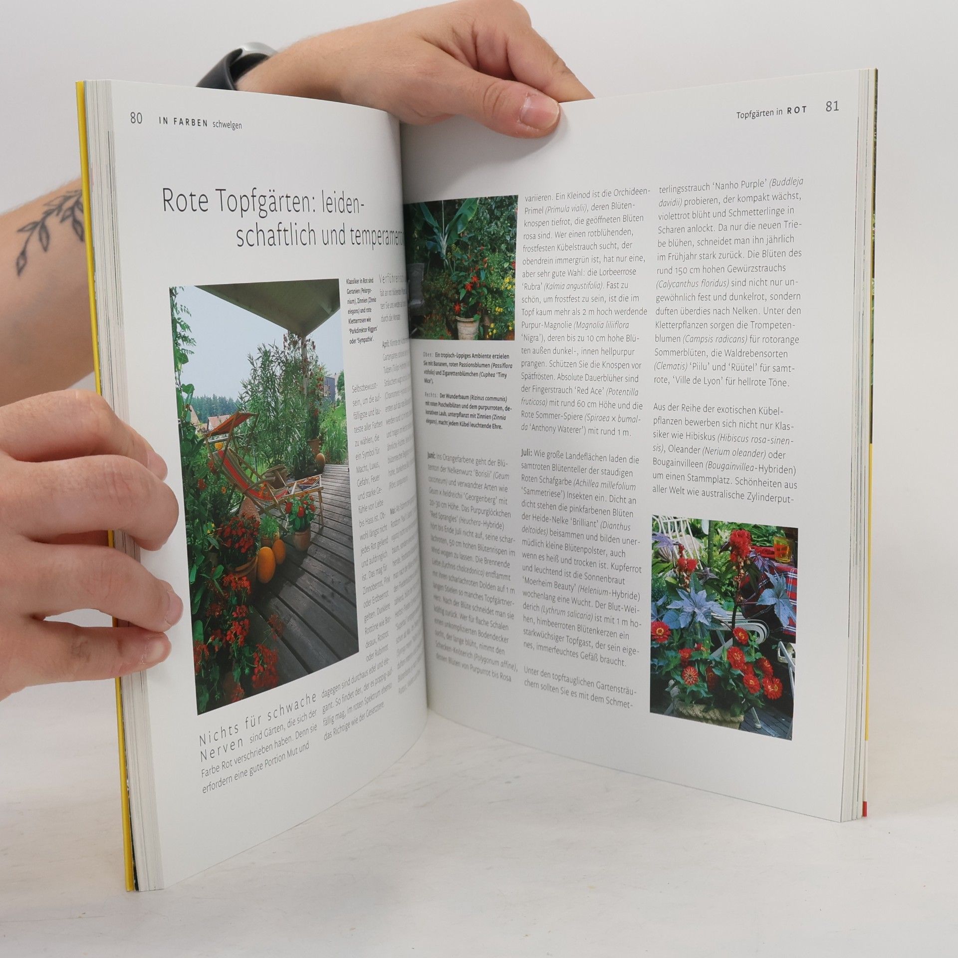 Tanja Ratsch Der Garten im Topf